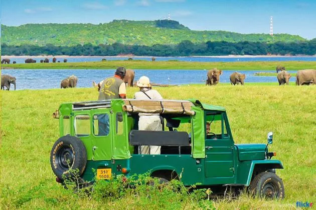 Kings Village Sigiriya