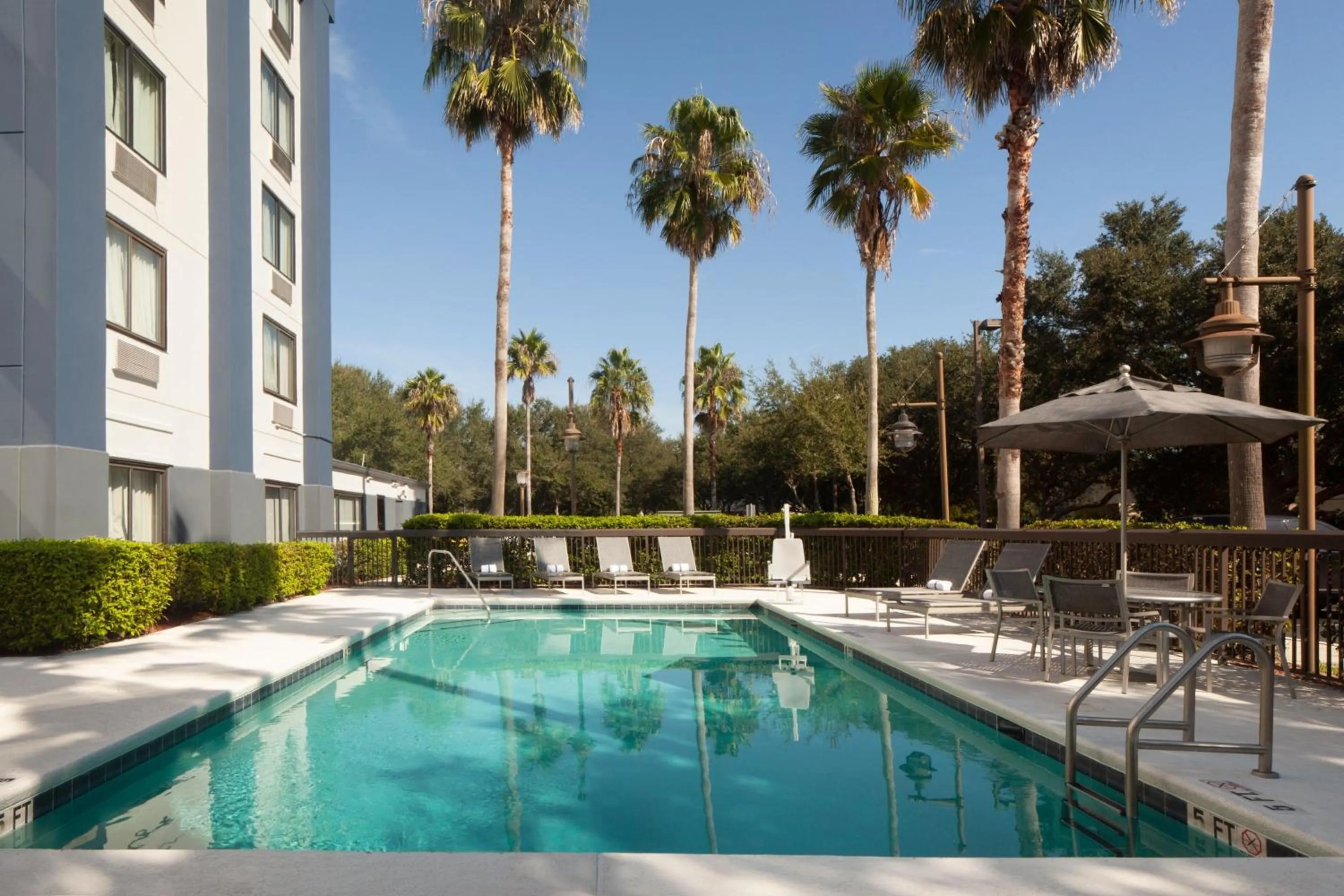 Swimming pool in Springhill Suites Jacksonville