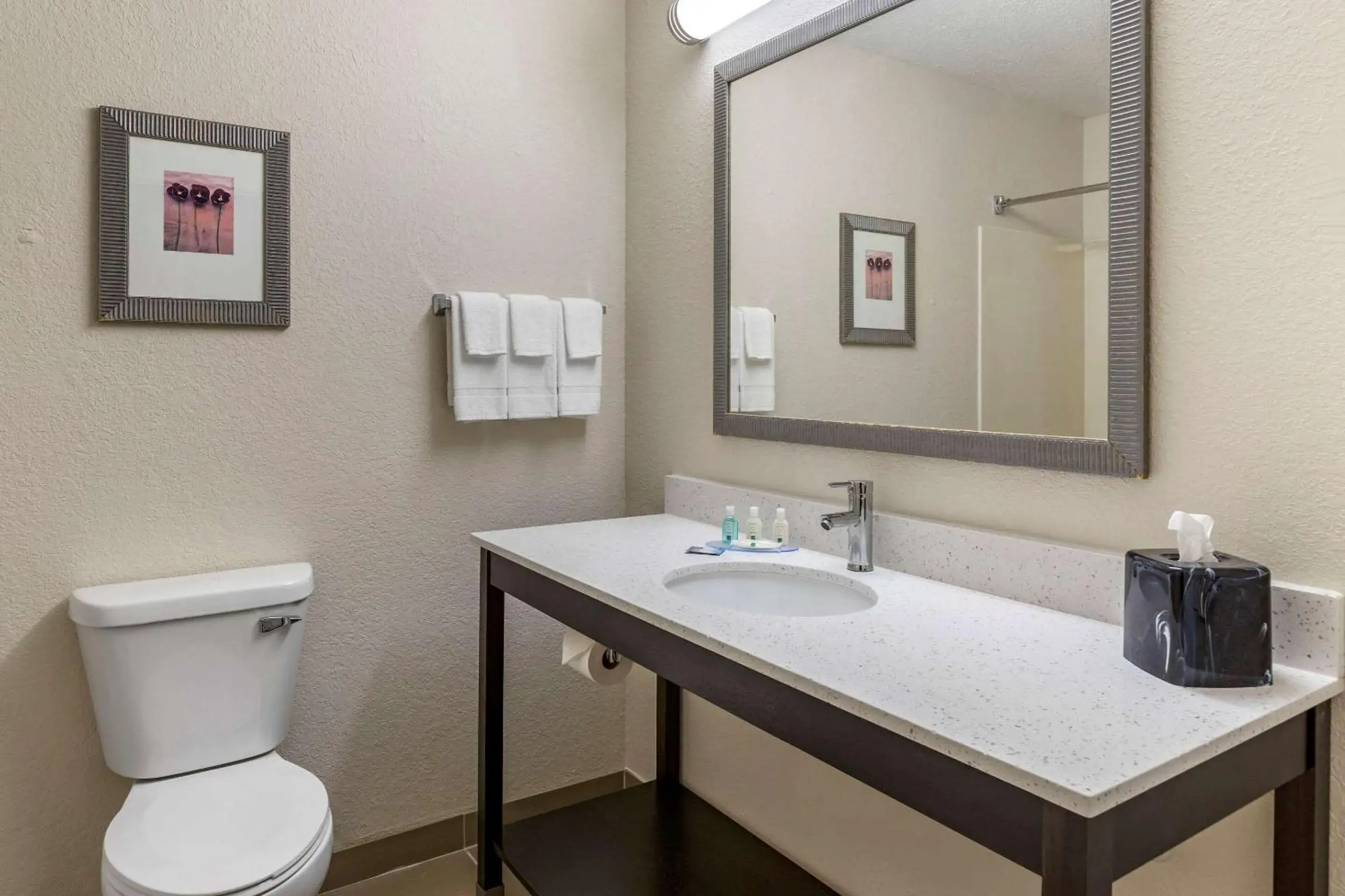 Bedroom in Quality Inn & Suites Bedroom in Quality Inn & Suites