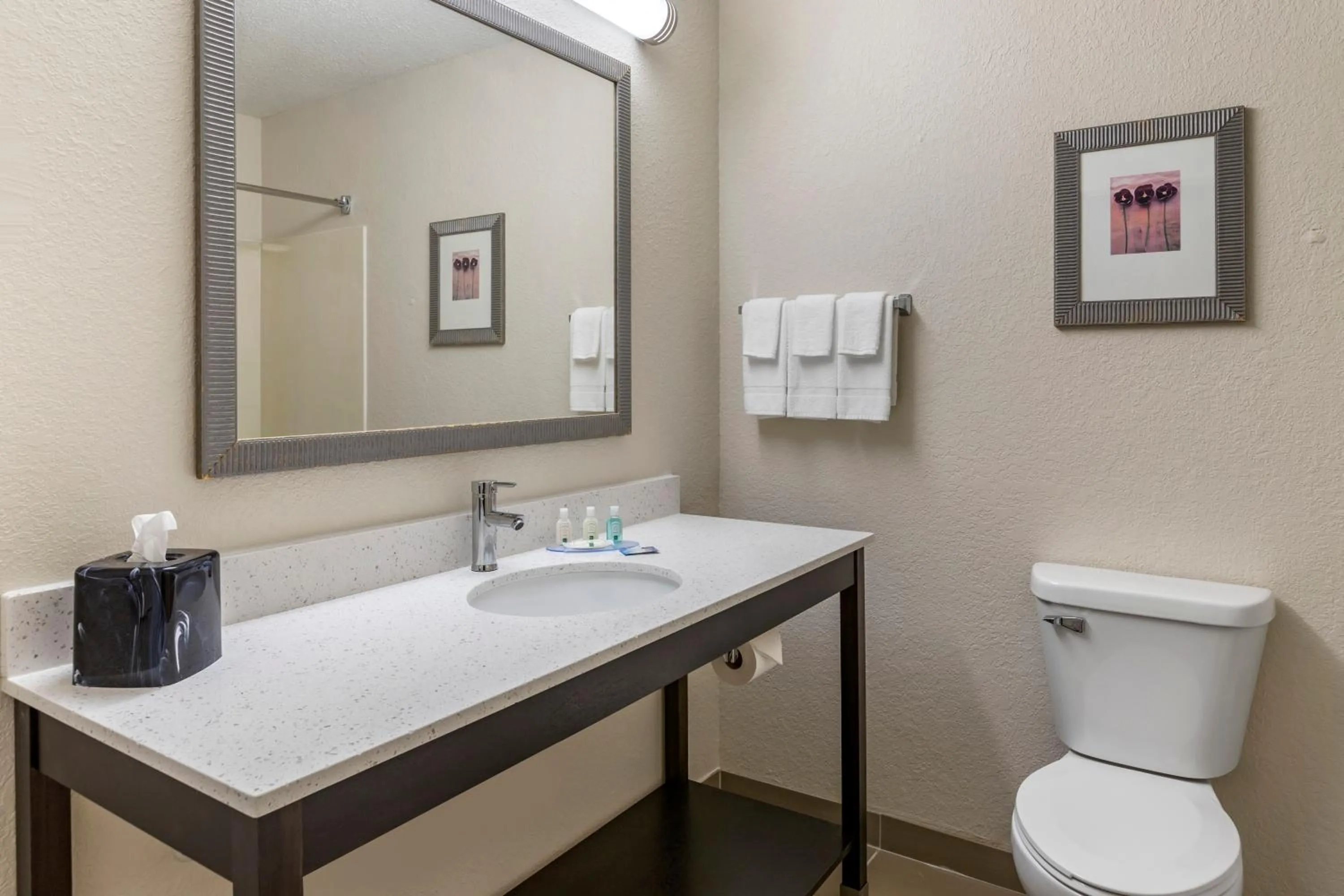 Bathroom in Quality Inn & Suites