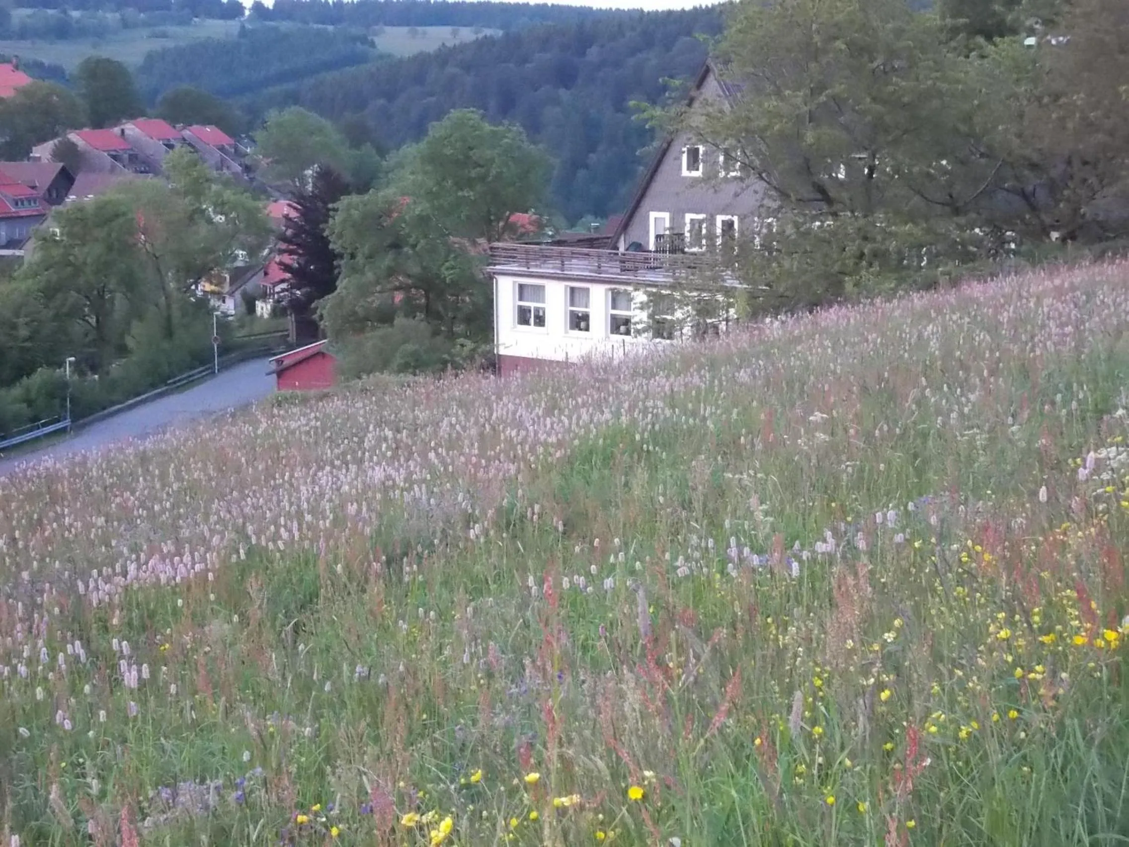 Garden view in Berghotel Glockenberg