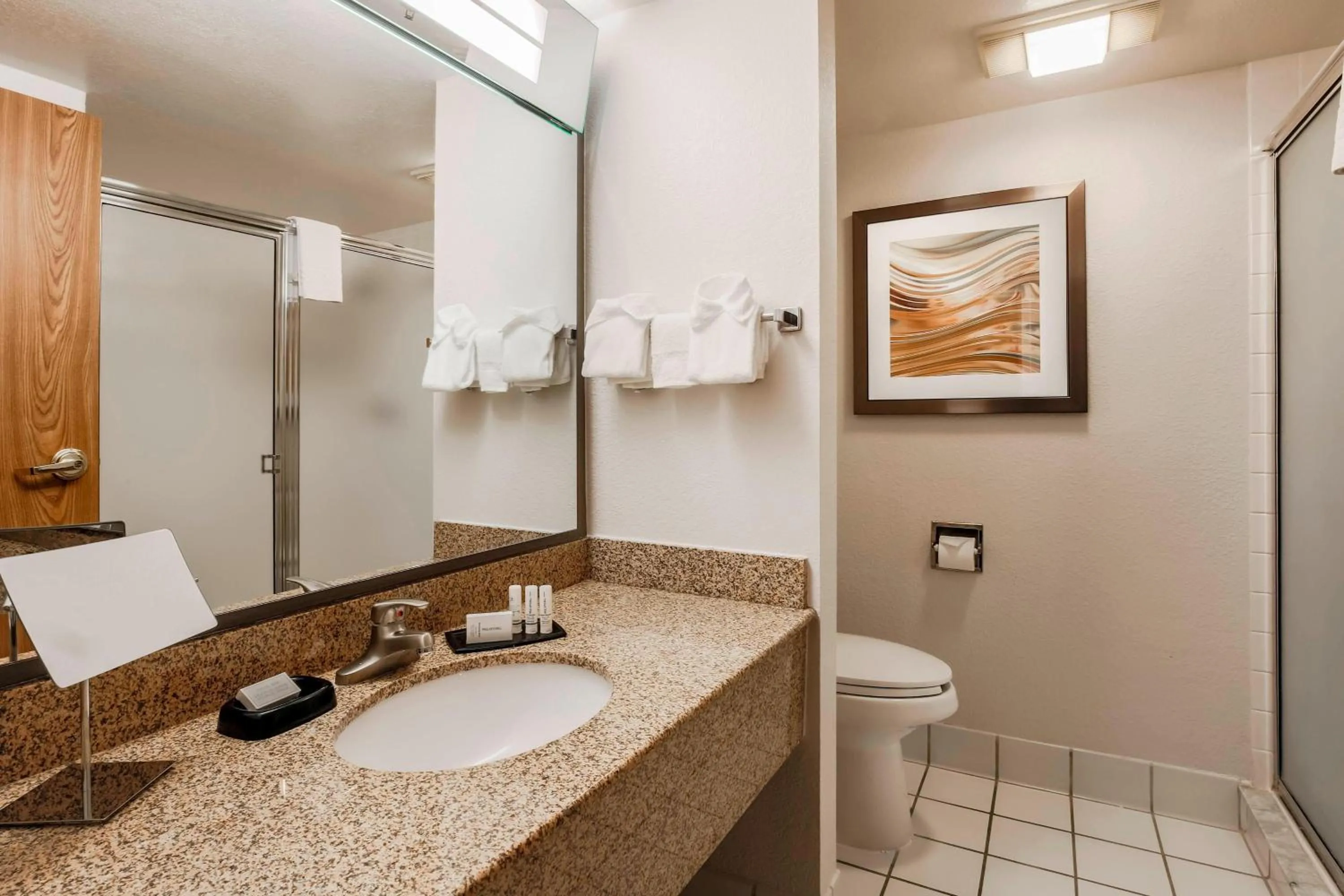 Bathroom in Courtyard by Marriott Orlando Lake Mary North