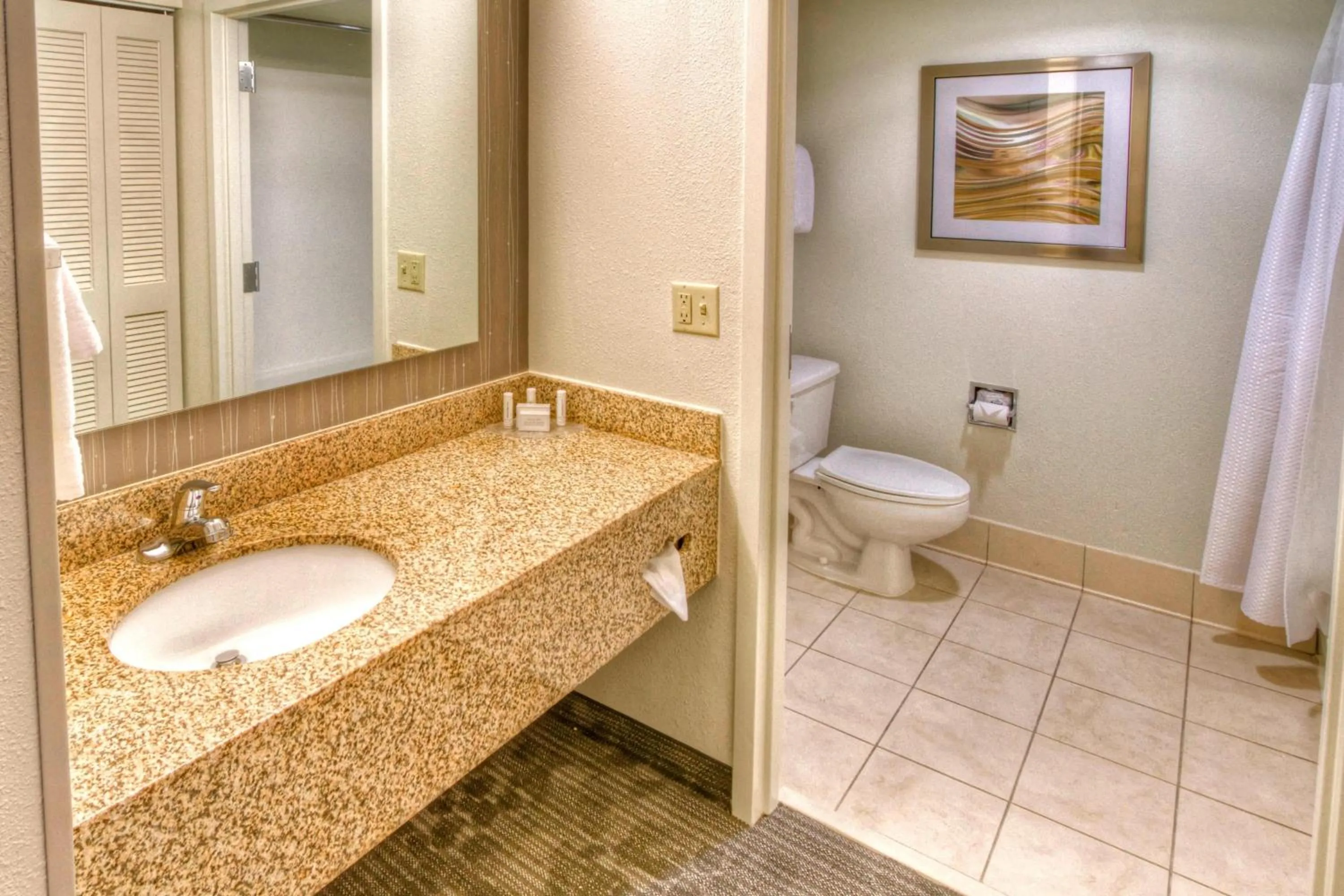 Bathroom in Courtyard Memphis Germantown