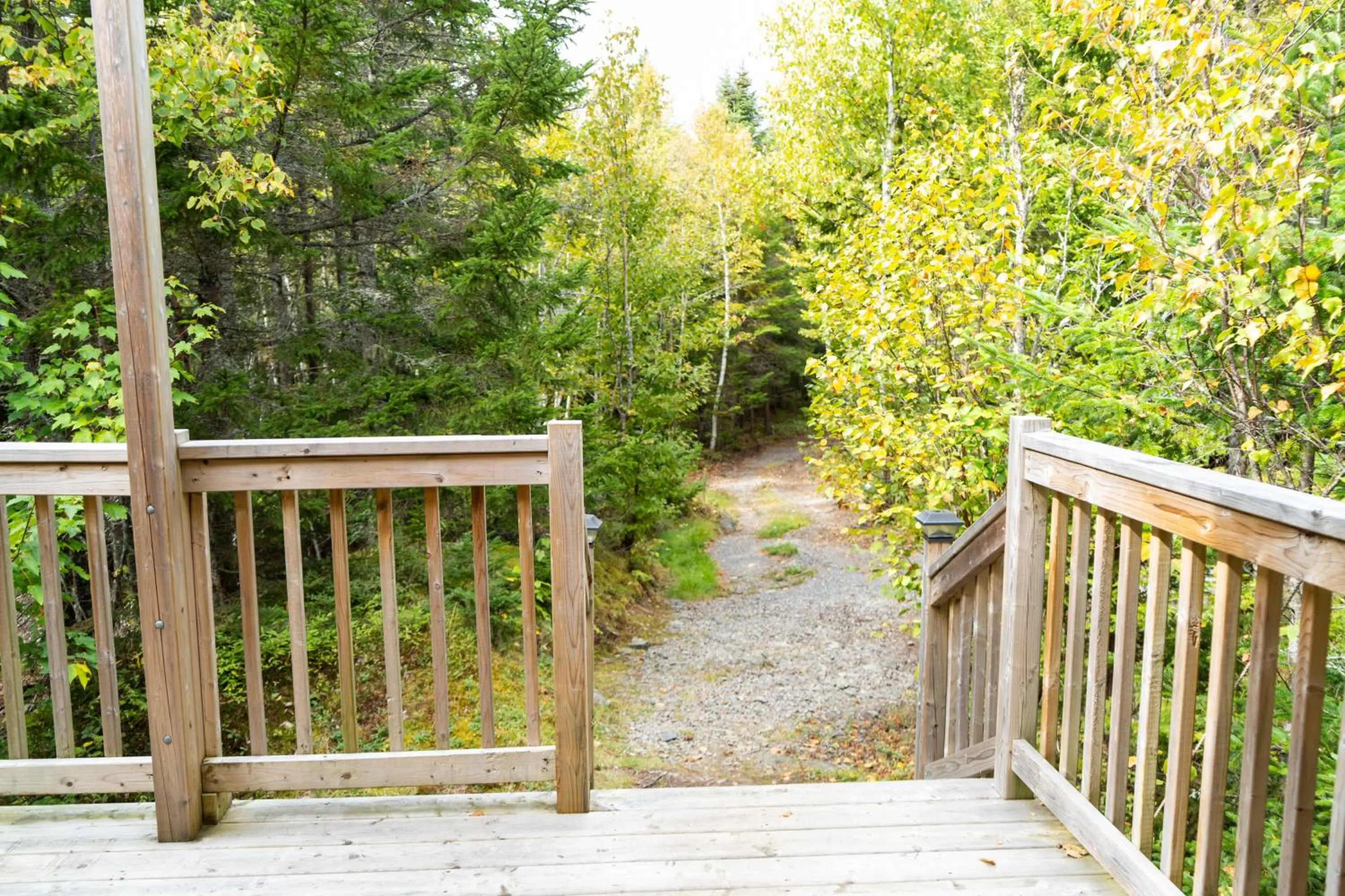 Patio in Dominion Hill Country Inn