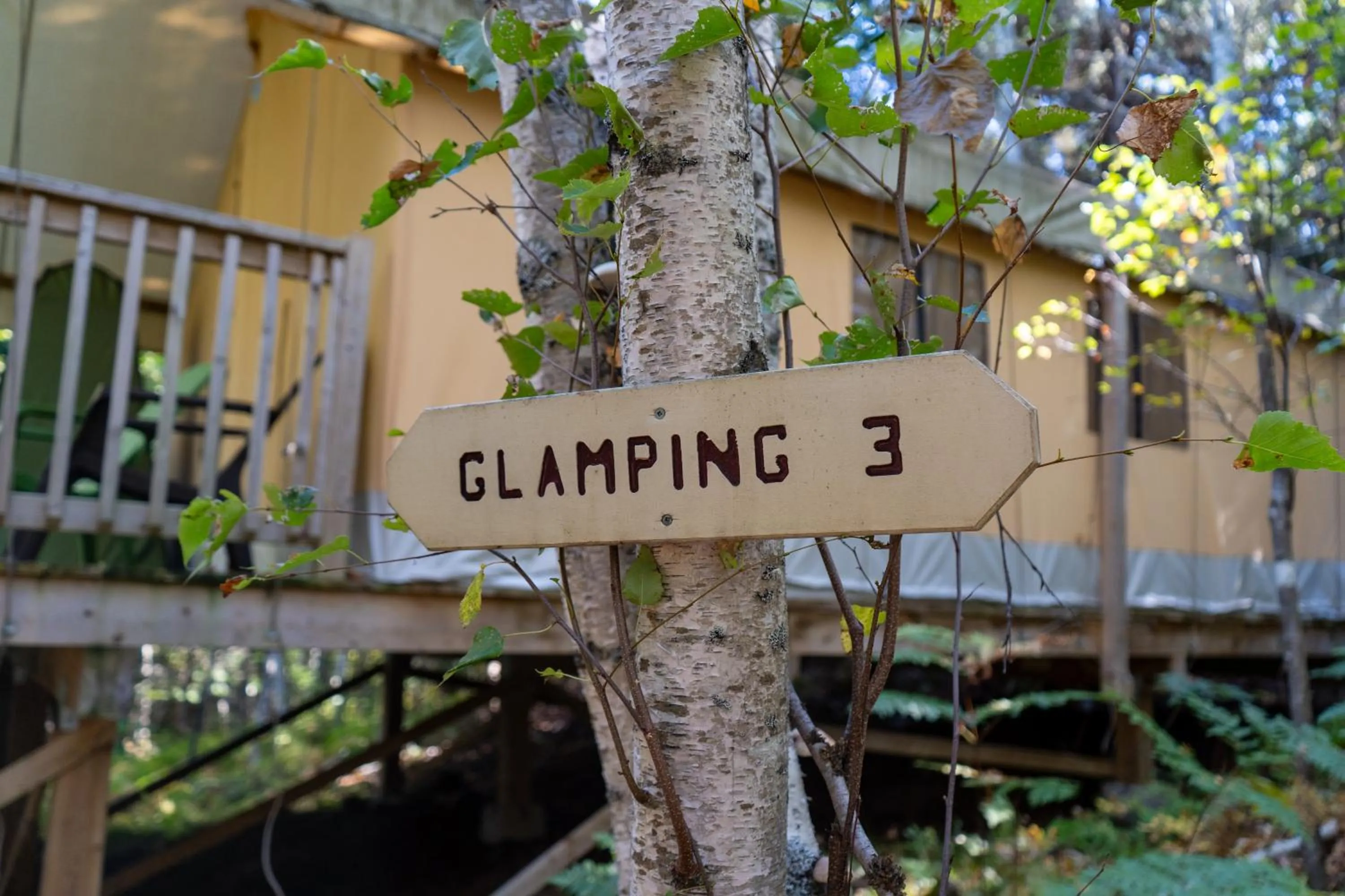 Property building in Dominion Hill Country Inn