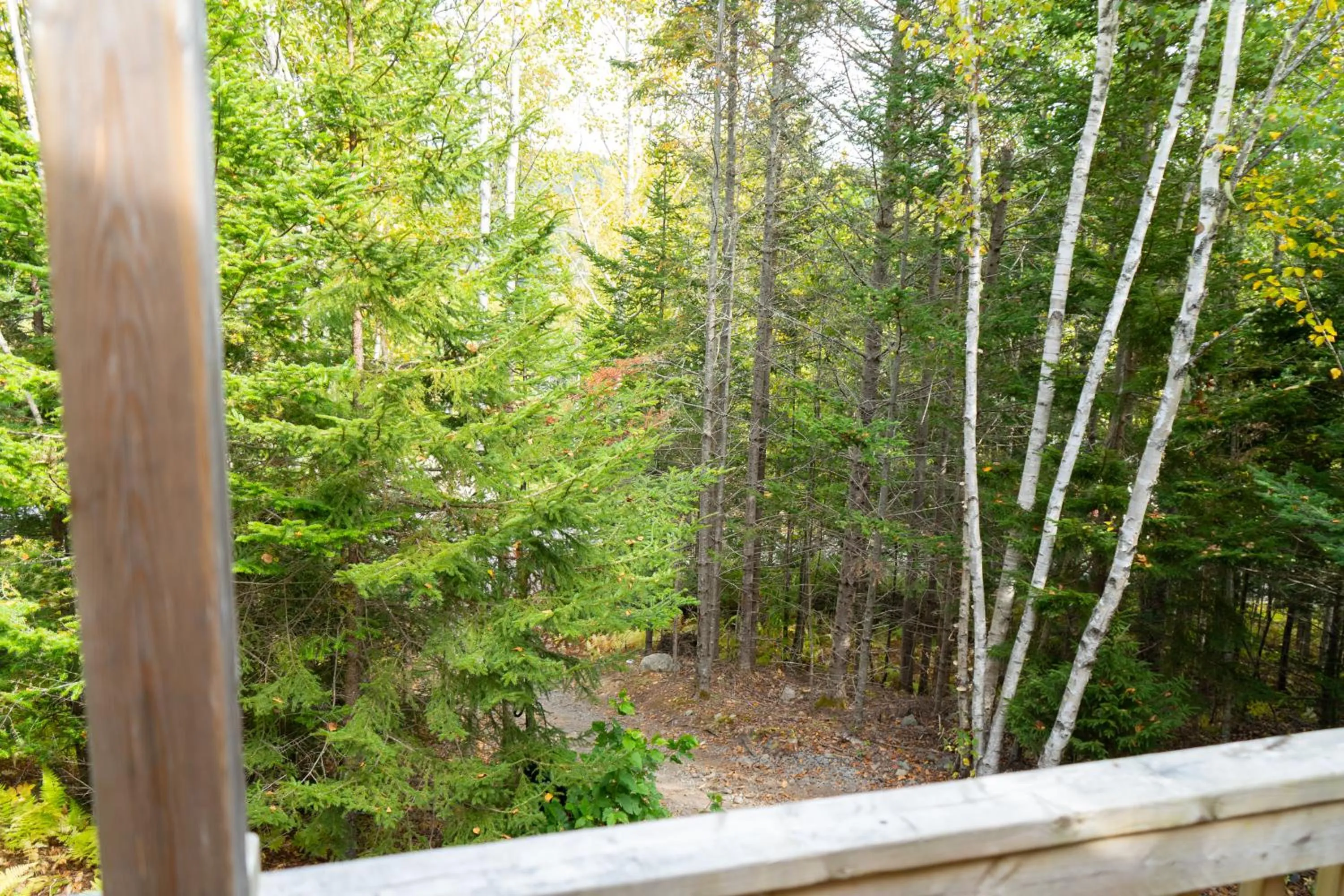 Natural landscape in Dominion Hill Country Inn