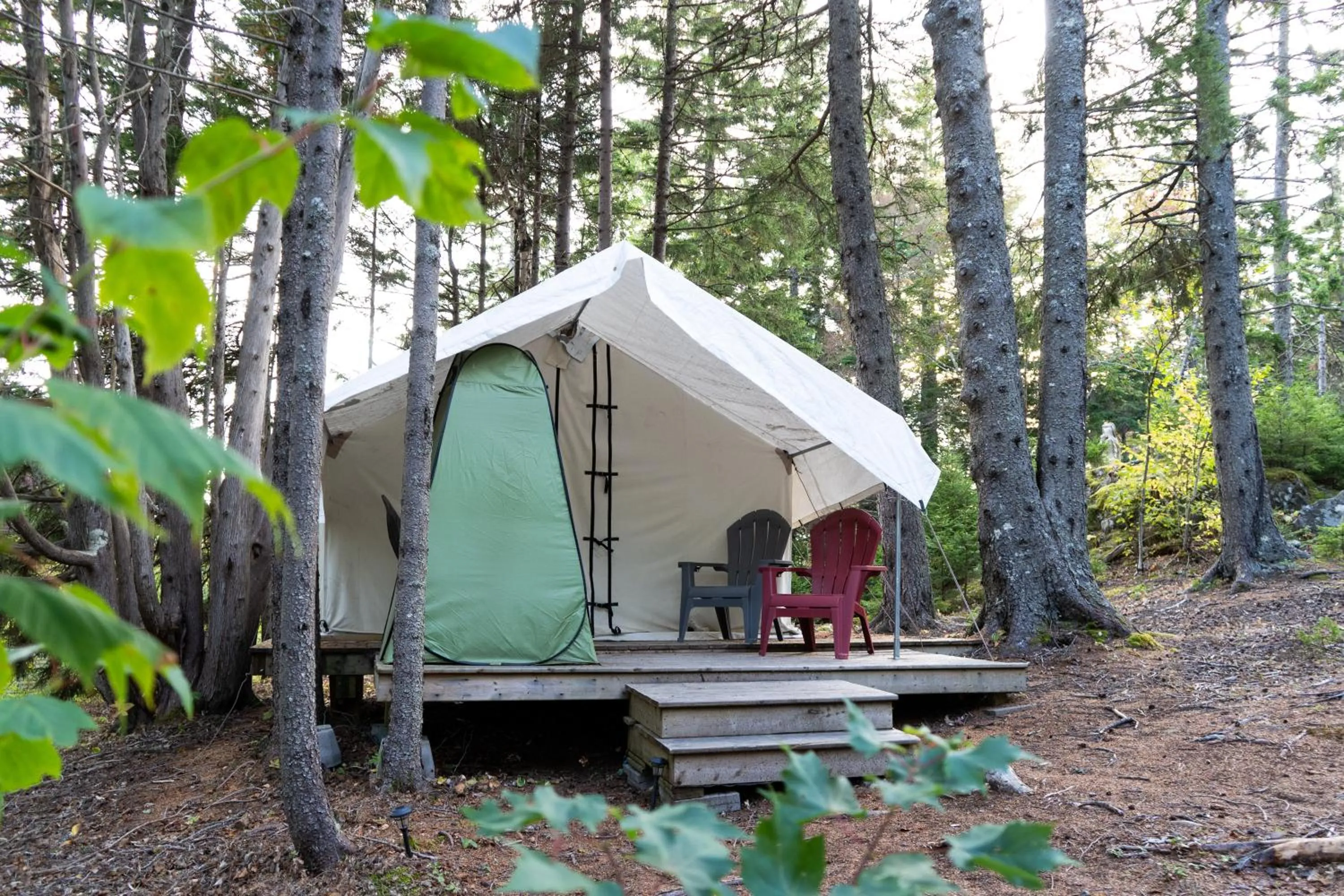 Day in Dominion Hill Country Inn