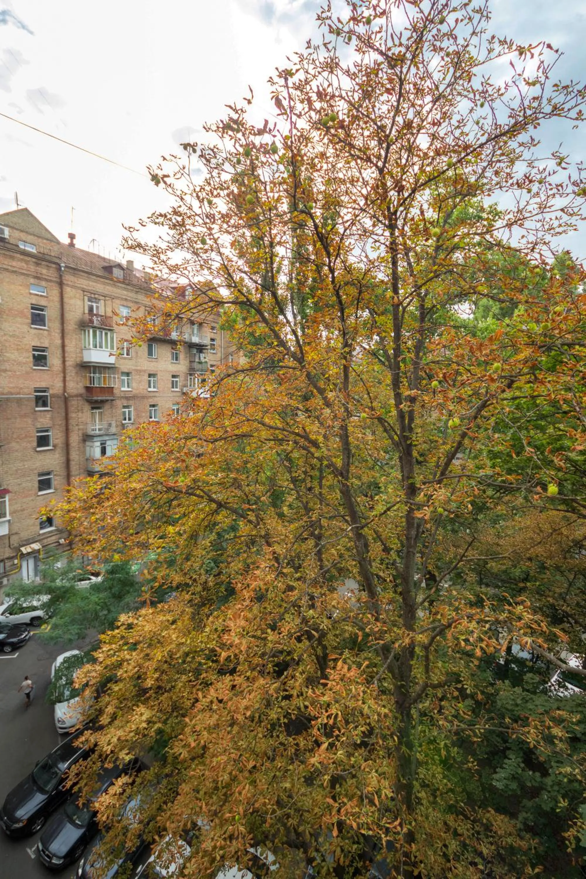 View (from property/room) in Idea Design Apart-Hotel Prorizna