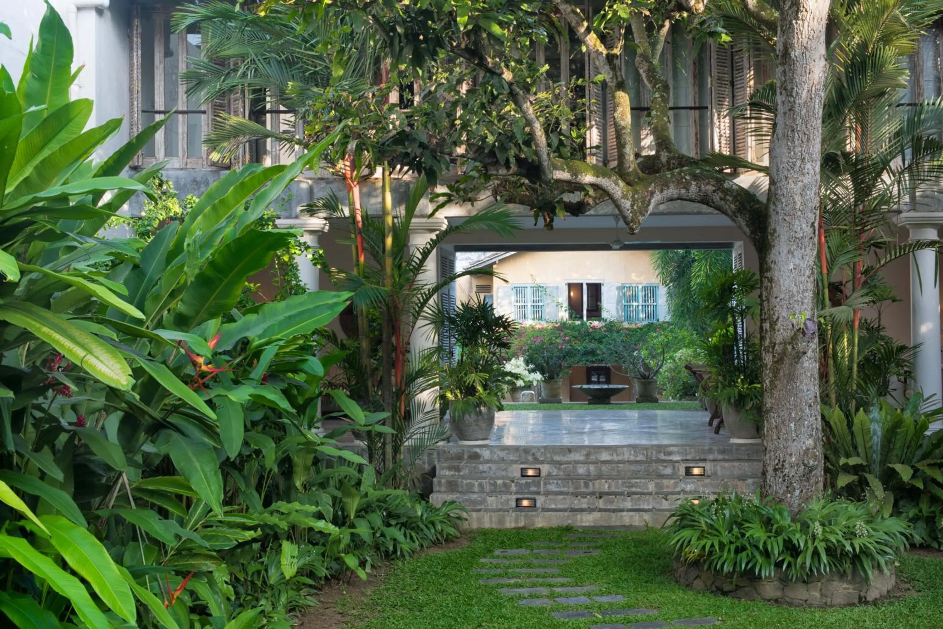 Garden in 20 Middle Street