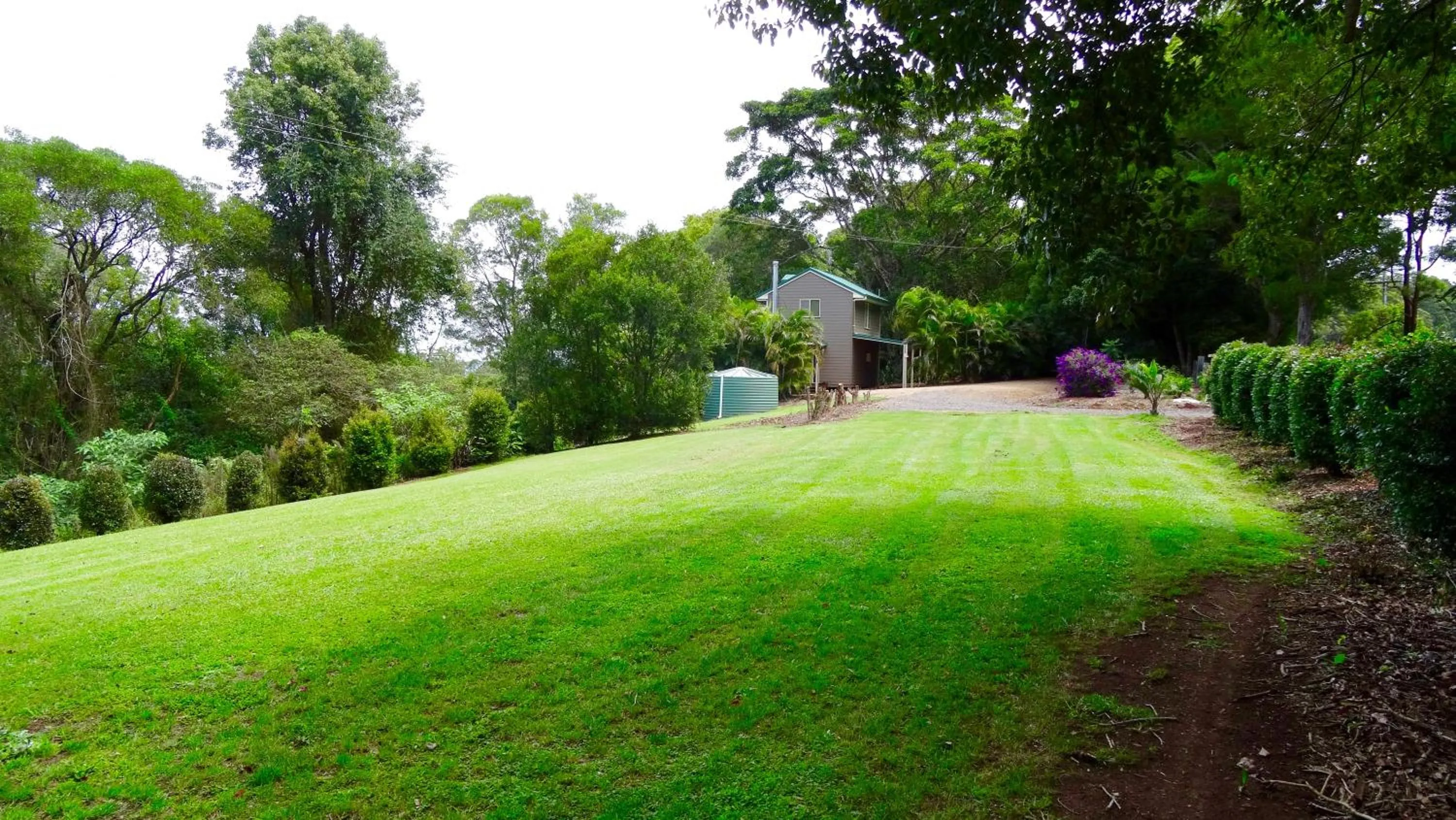 Garden view in Maleny Luxury Cottages