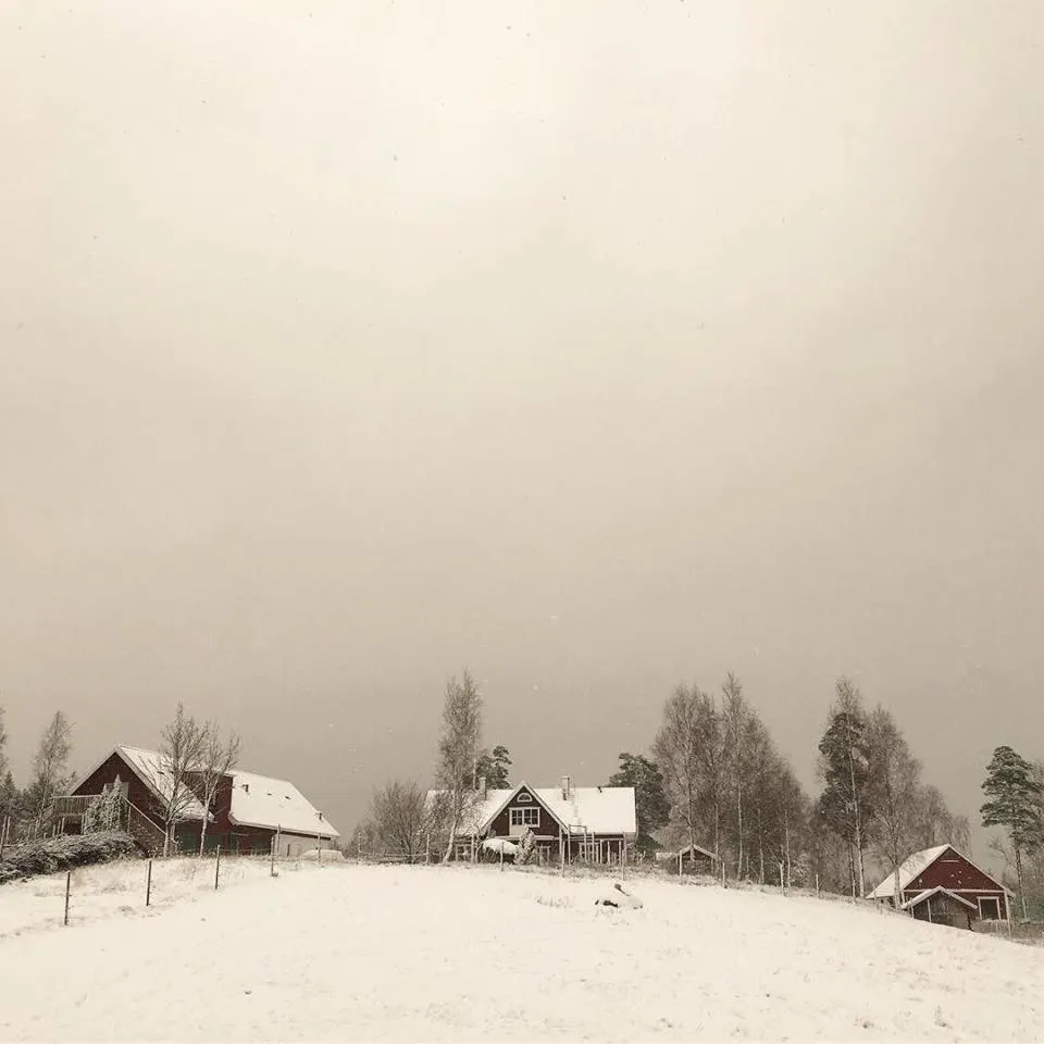 Escape to PaulssonPaleo