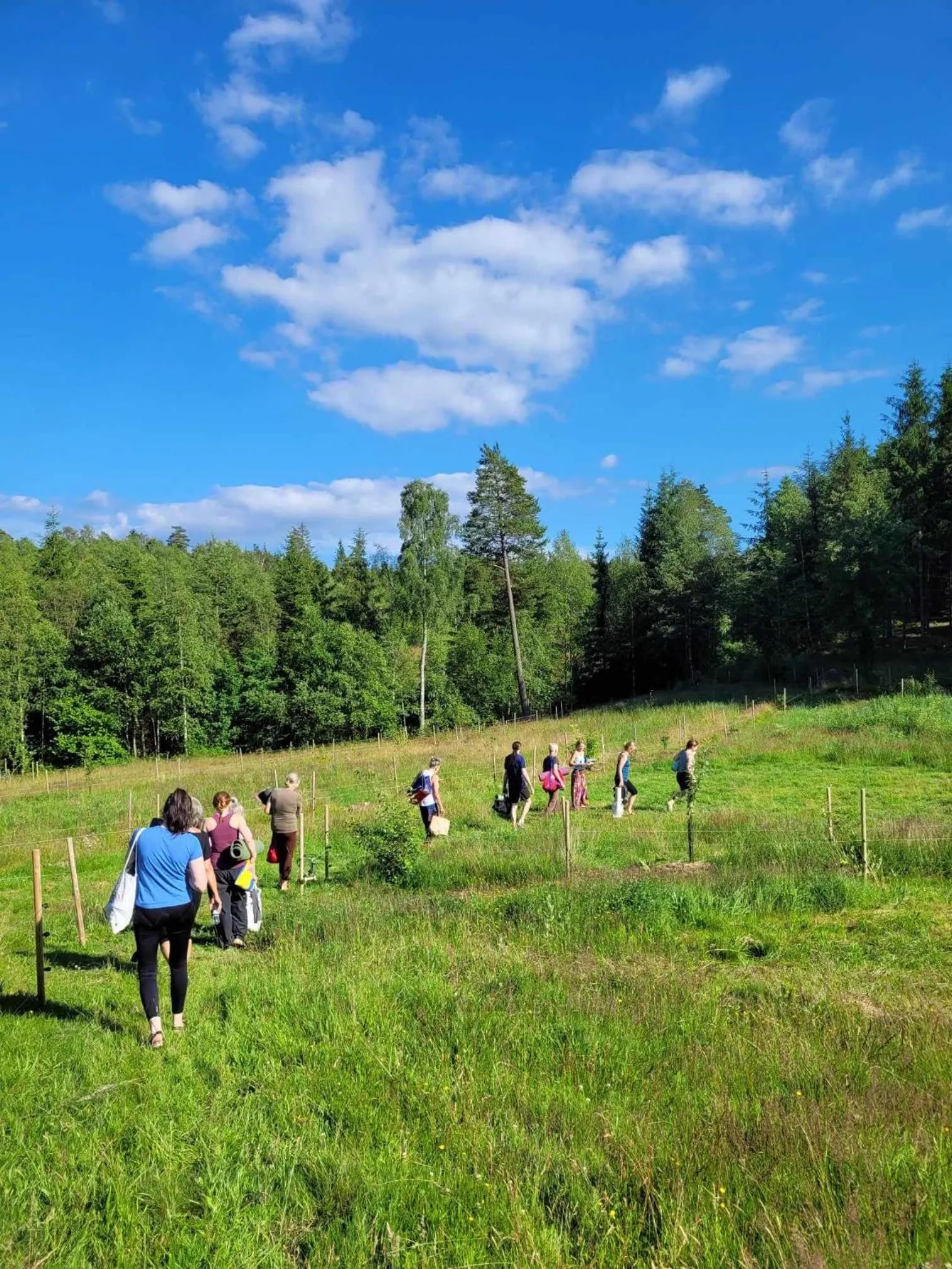 Fitness centre/facilities in Escape to PaulssonPaleo