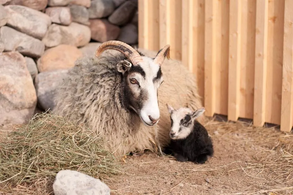 Spring in Escape to PaulssonPaleo