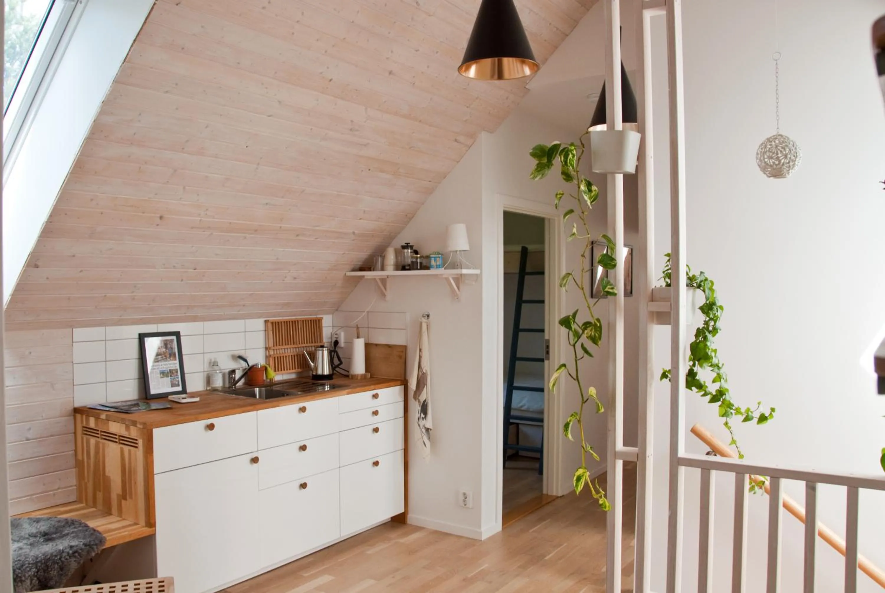 Day in Escape to PaulssonPaleo