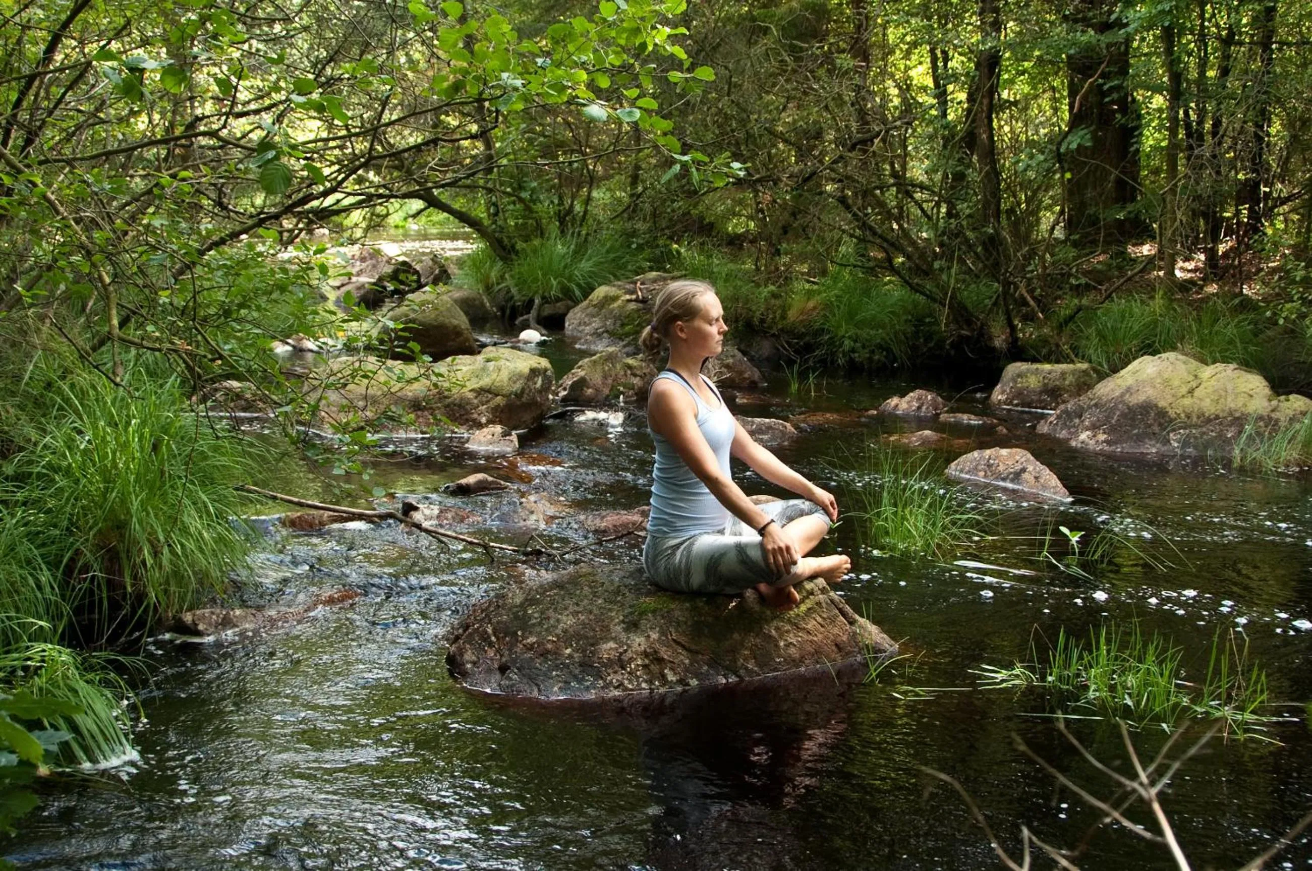 Off site in Escape to PaulssonPaleo