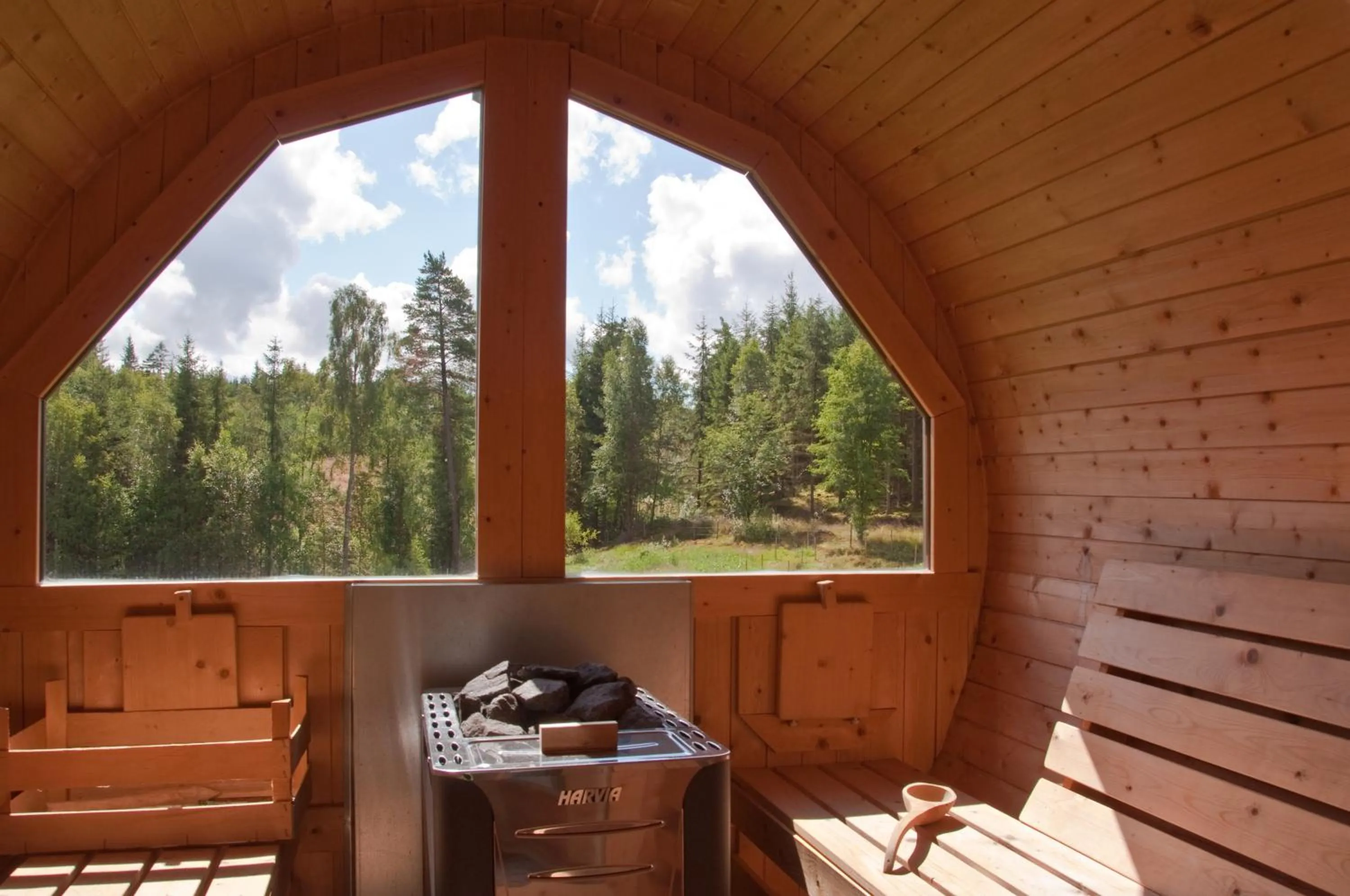 Natural landscape in Escape to PaulssonPaleo