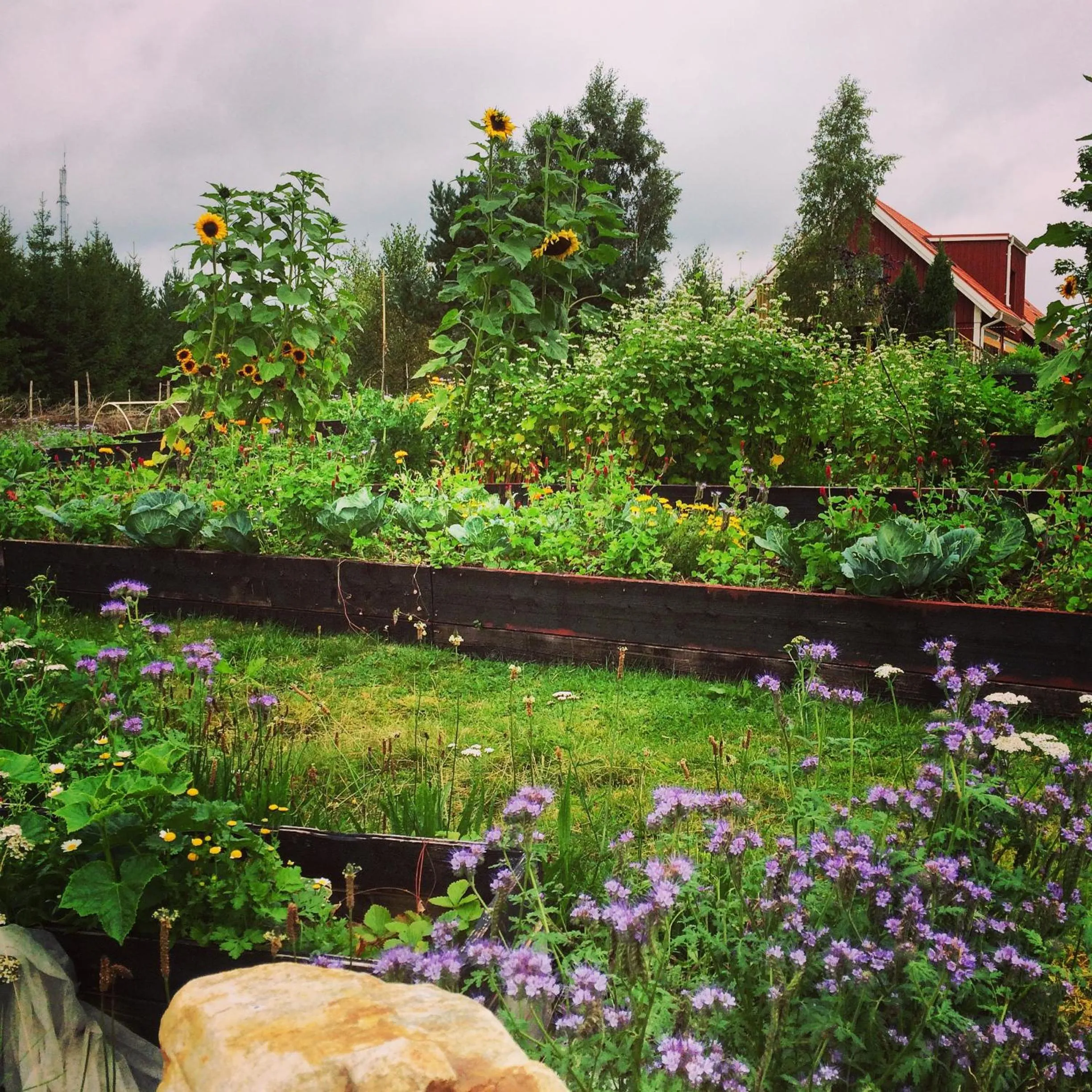 Facade/entrance in Escape to PaulssonPaleo