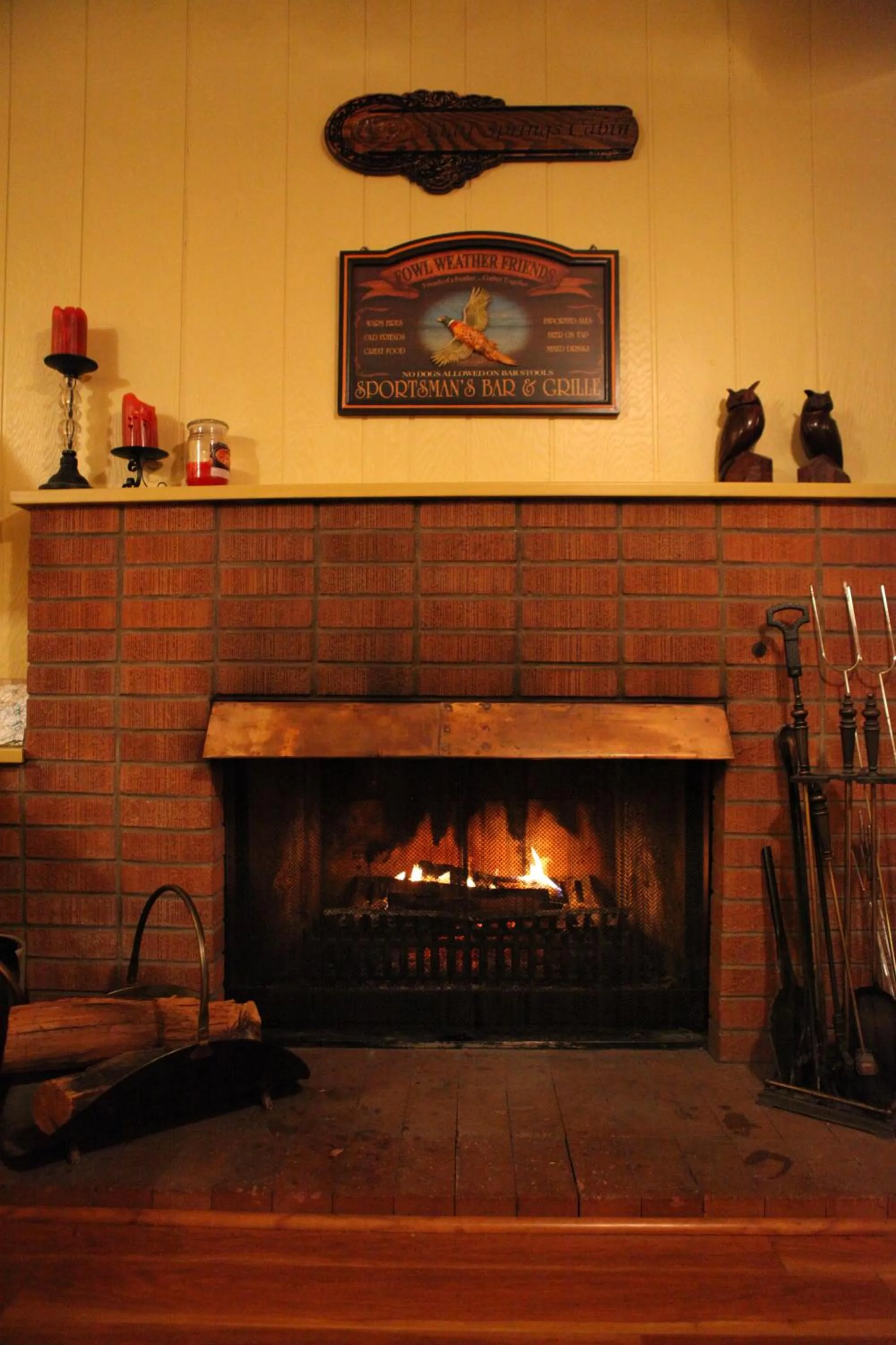 Animals in Adair Springs Cabin