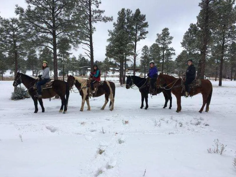 Horse-riding in Adair Springs Cabin