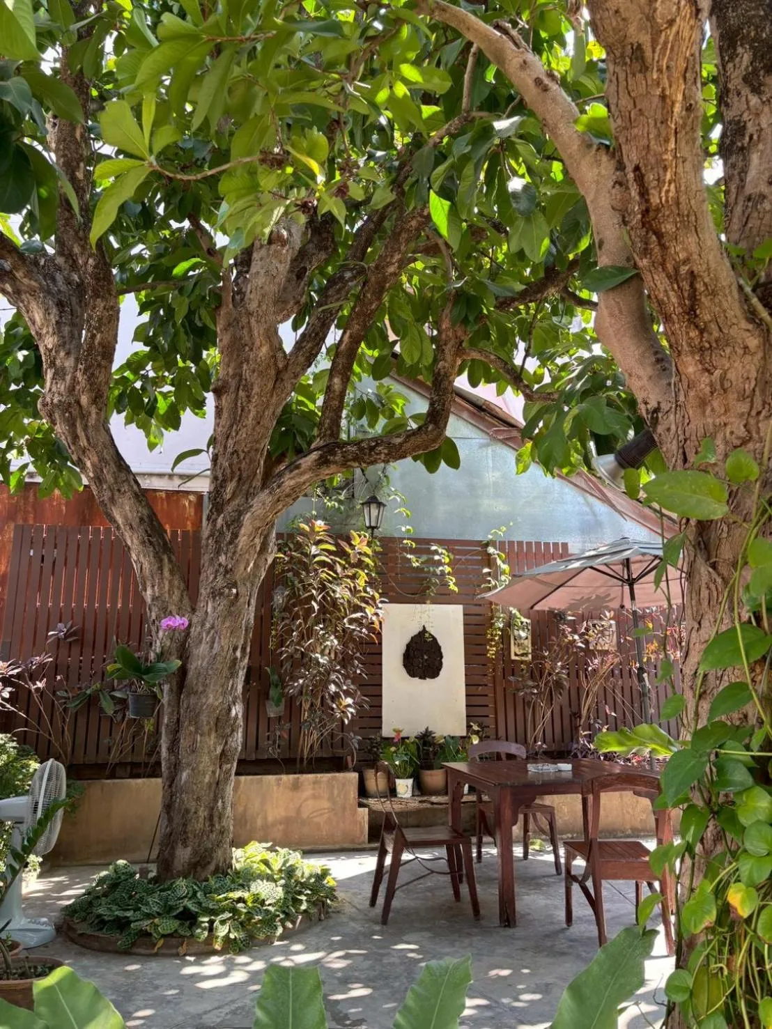 Garden in Yindee Stylish Guesthouse