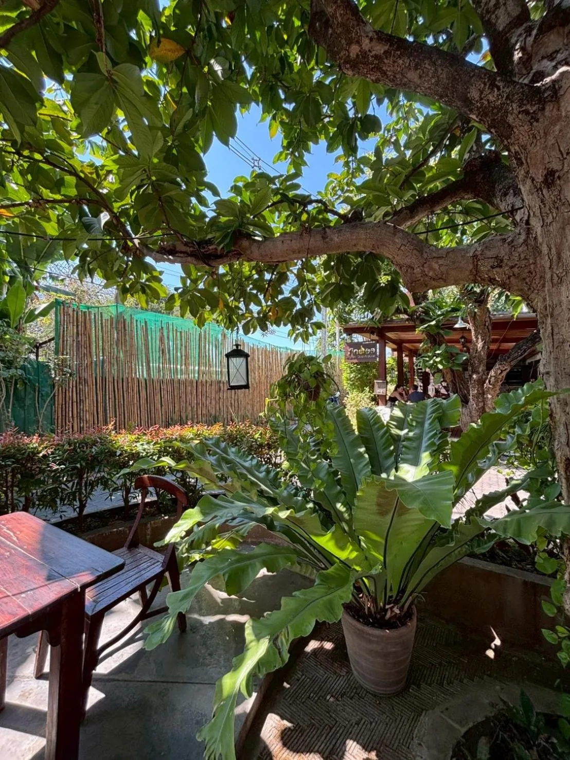 Garden in Yindee Stylish Guesthouse