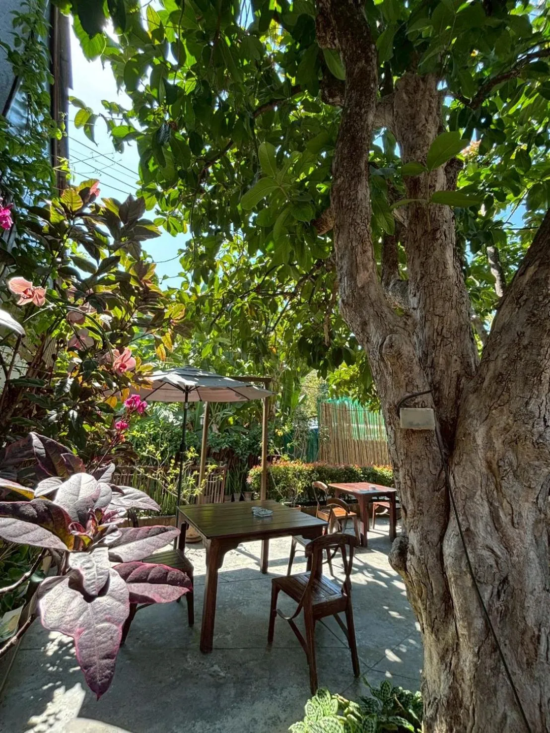Garden in Yindee Stylish Guesthouse