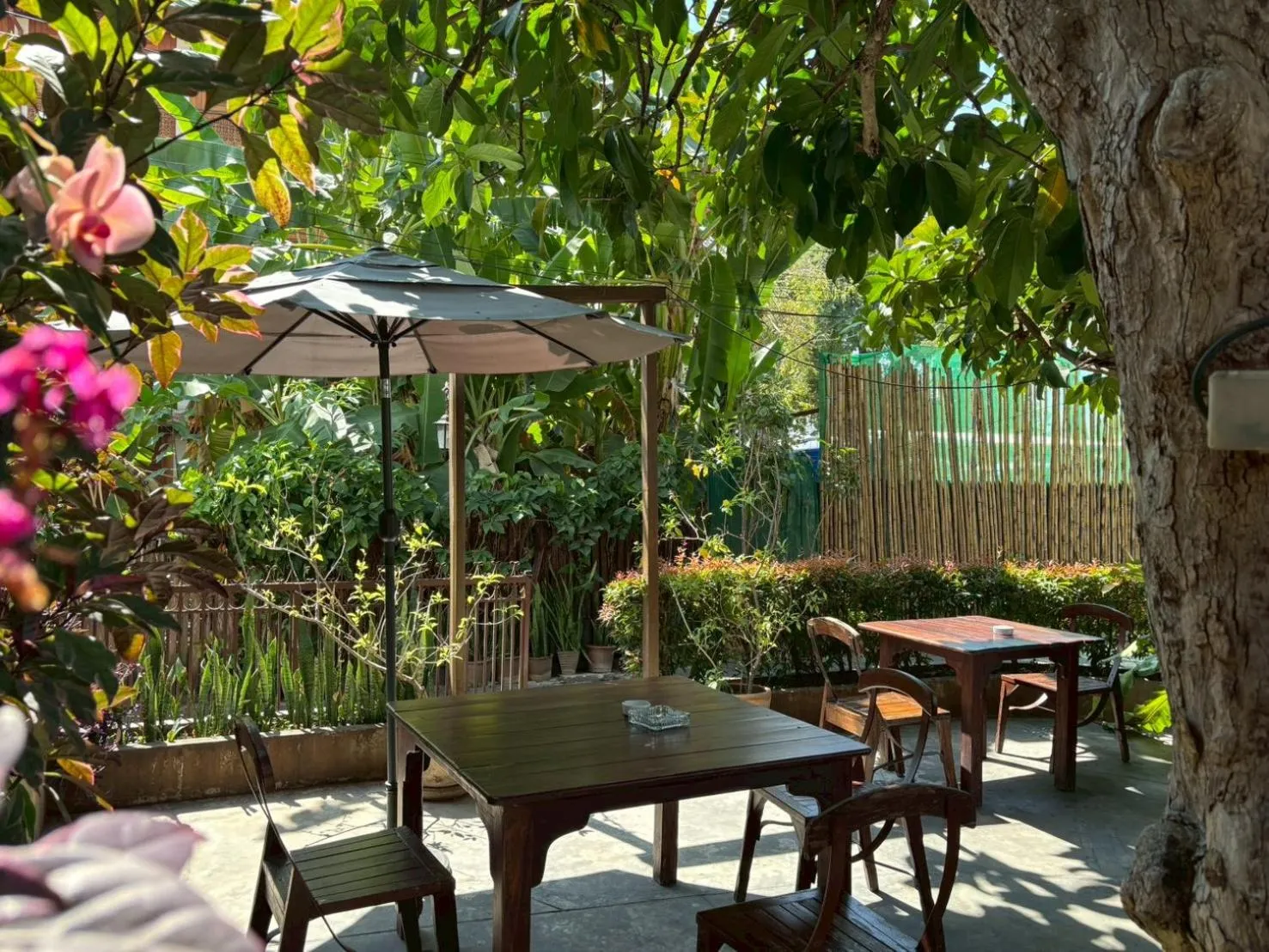 Garden in Yindee Stylish Guesthouse