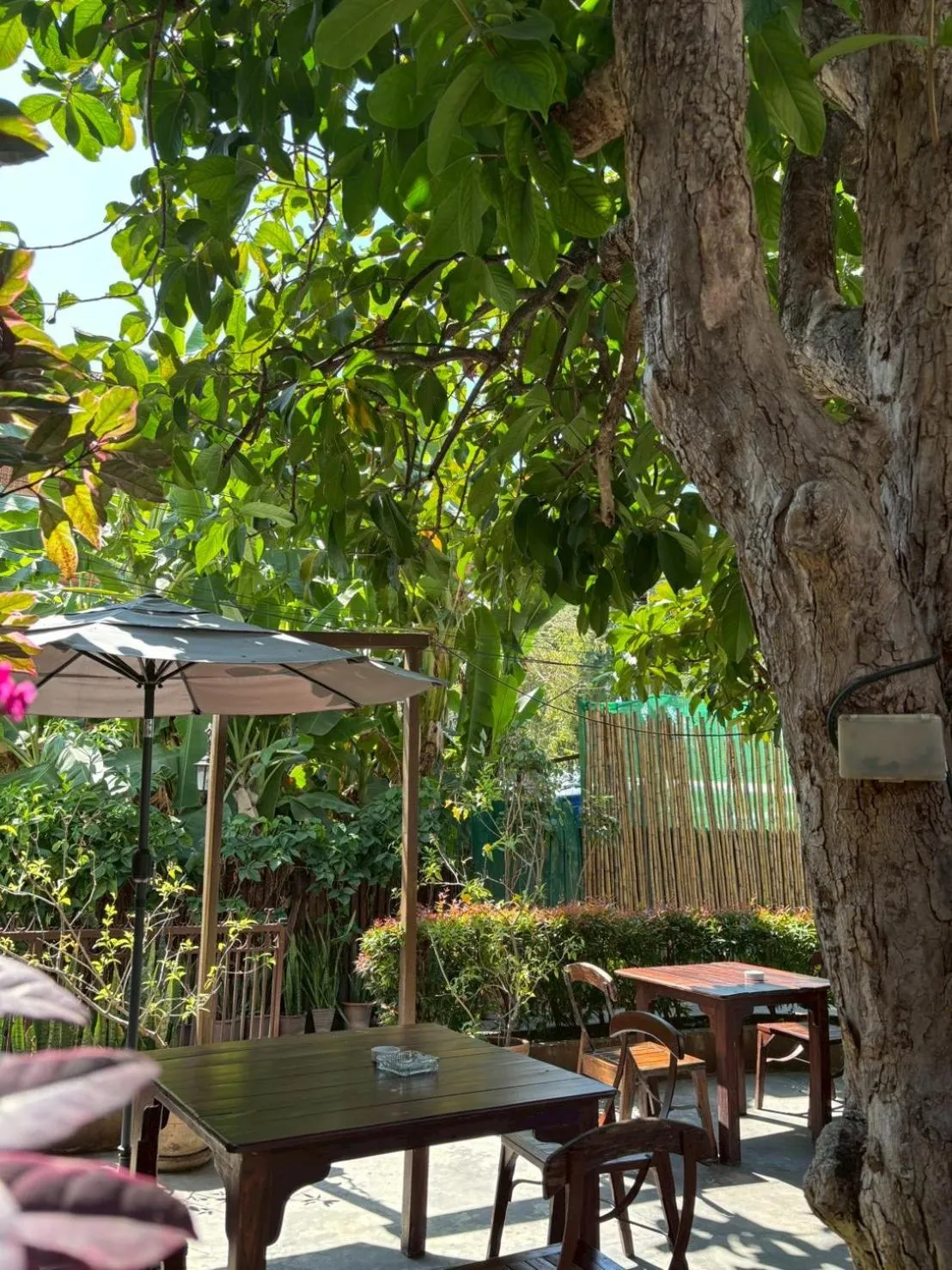 Garden in Yindee Stylish Guesthouse