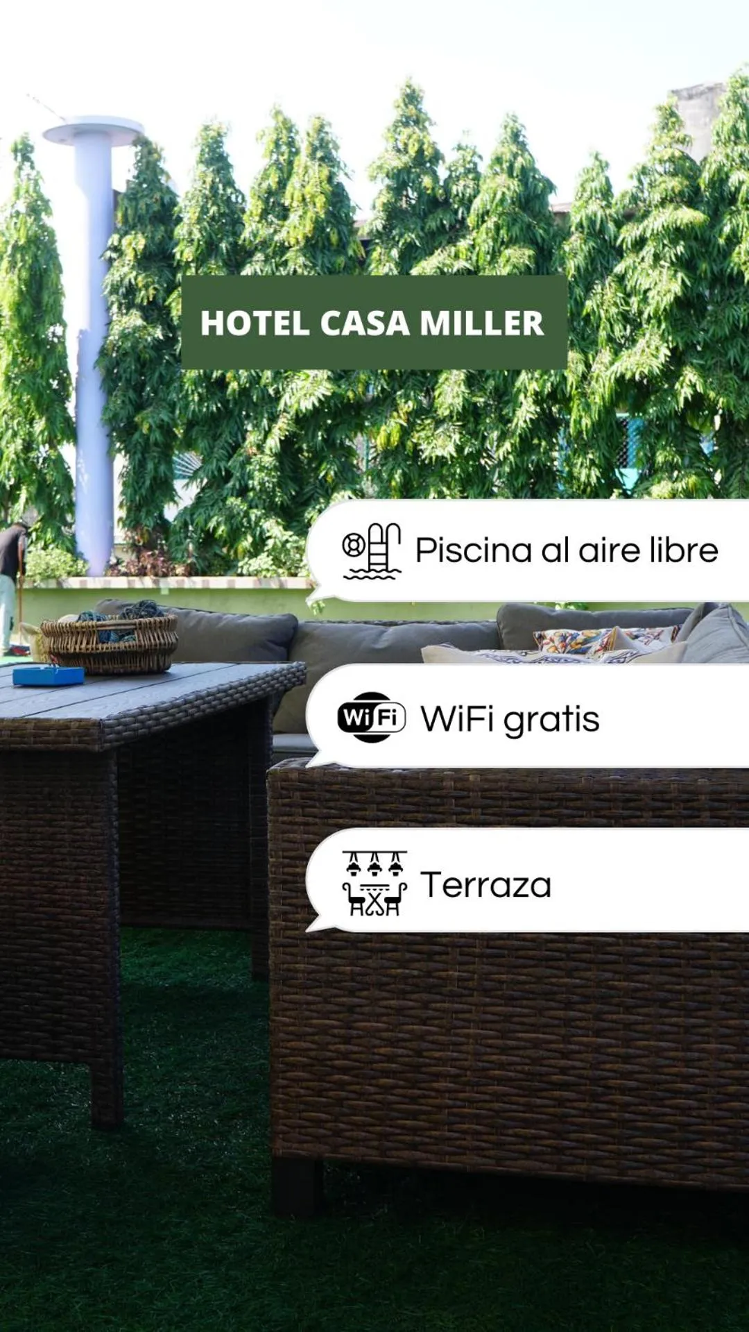 Restaurant/places to eat in Hotel Casa Miller