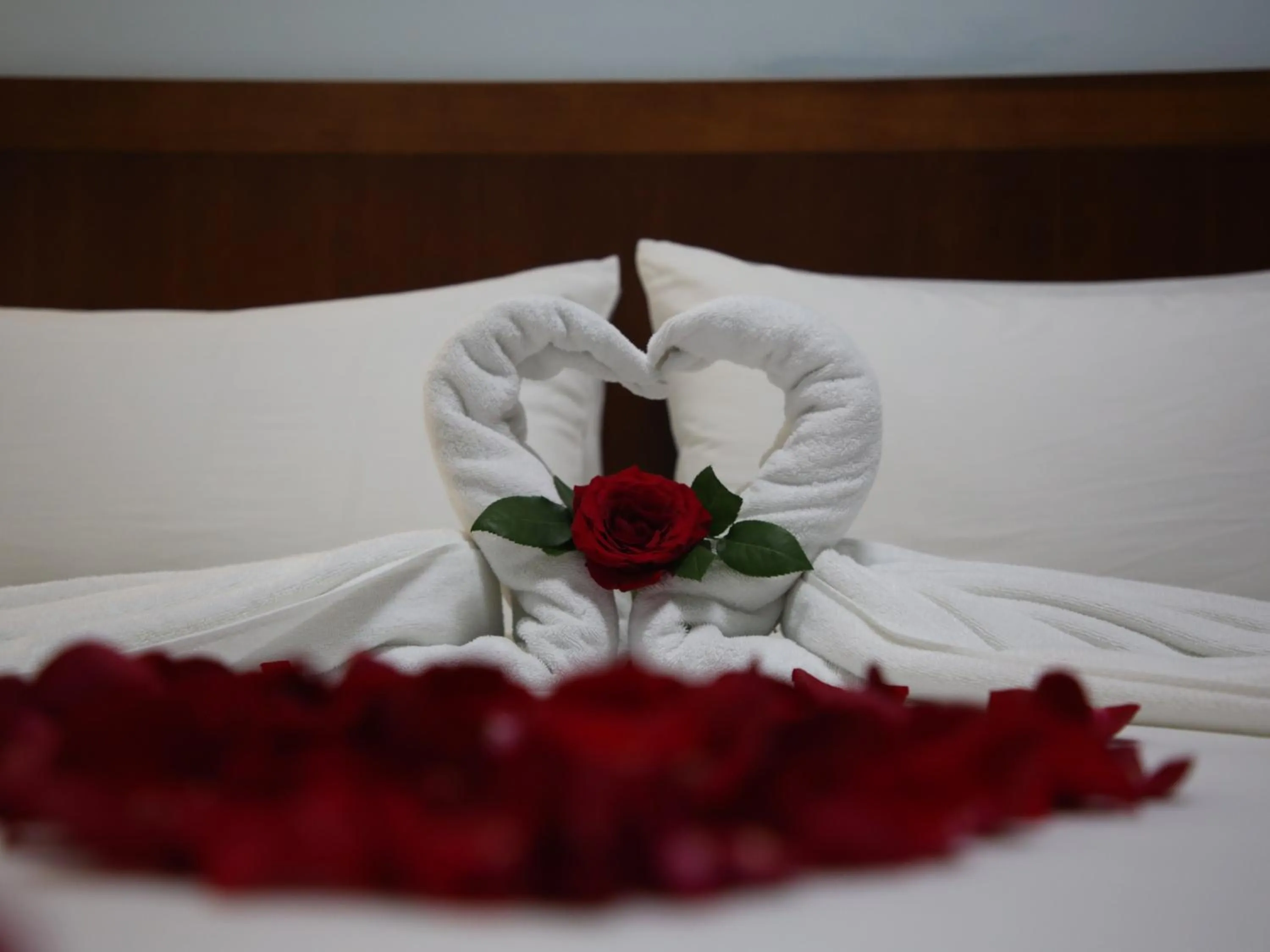 Bed in Hotel Casa Miller