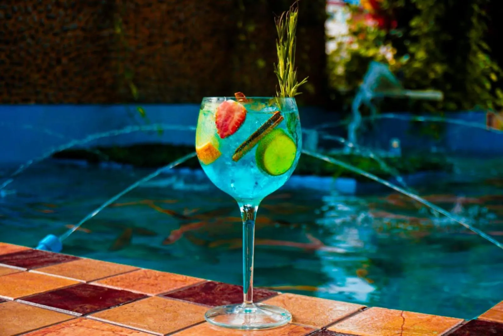 Day in Hotel Casa Miller