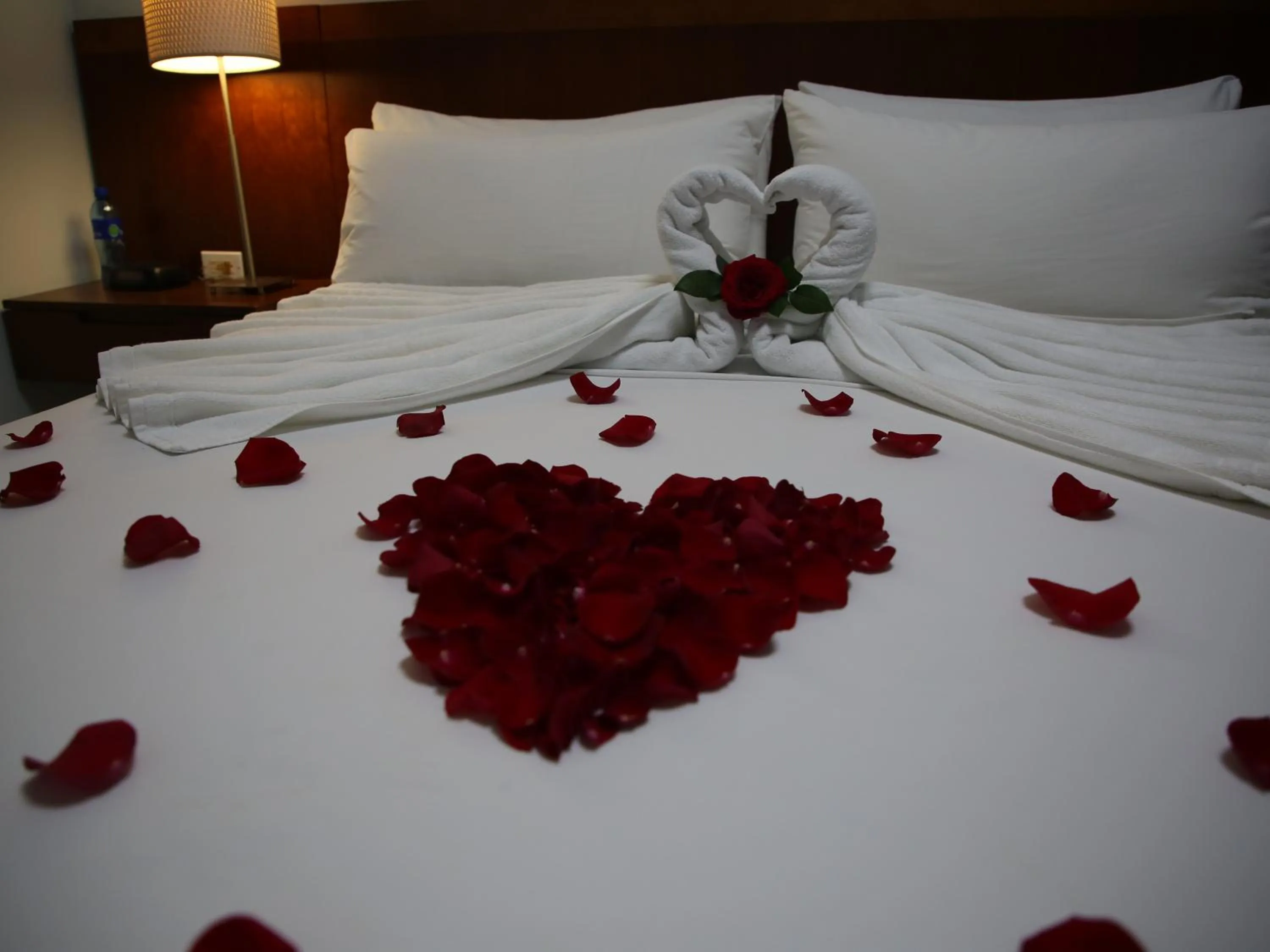 Bed in Hotel Casa Miller