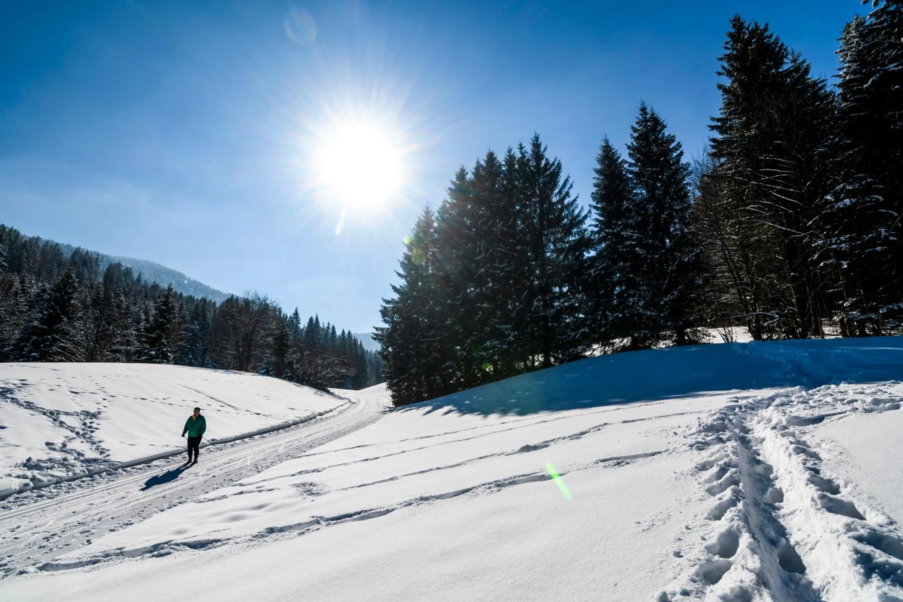 Mountain view in BS-Ötscher Hotel