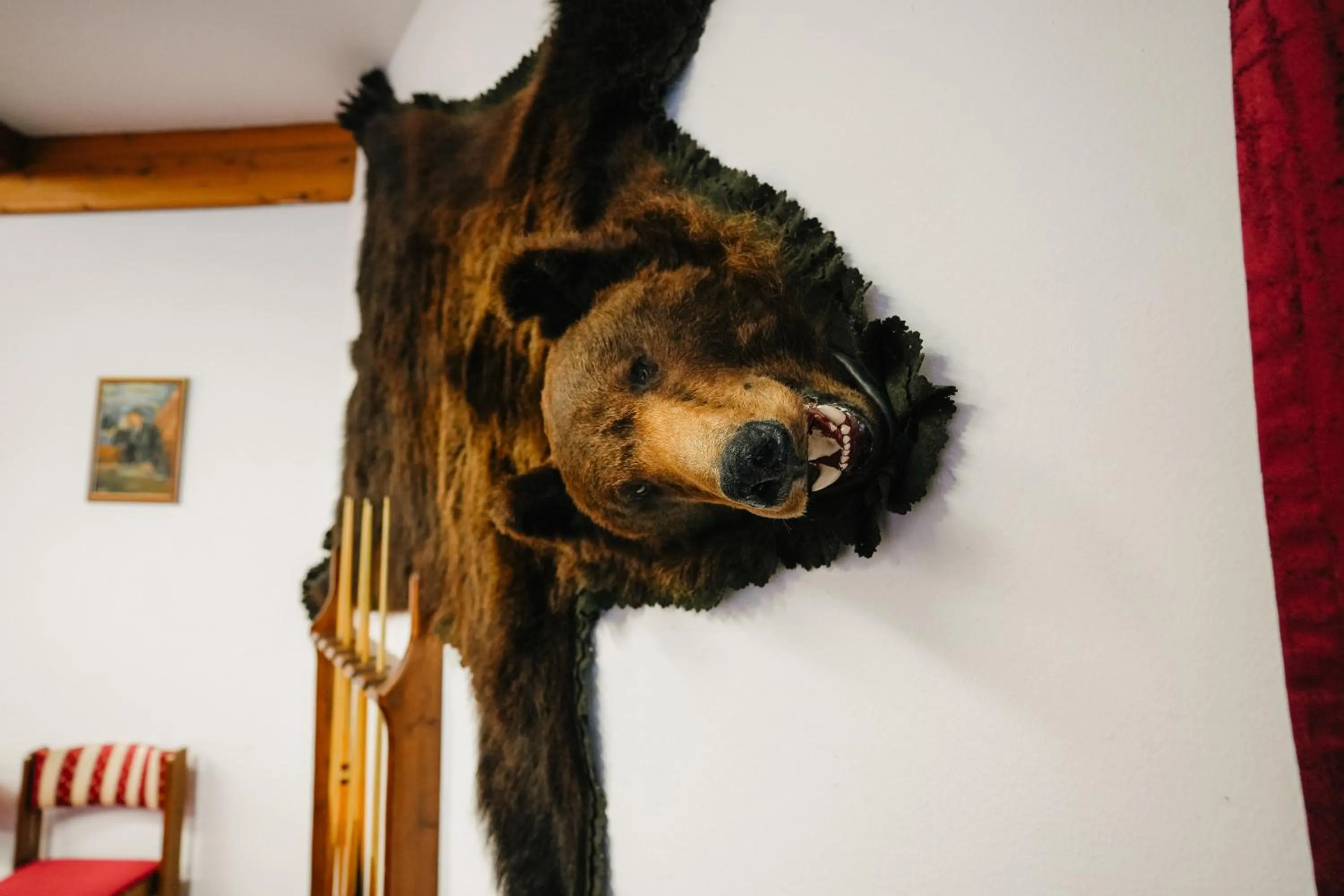 Restaurant/places to eat in BS-Ötscher Hotel