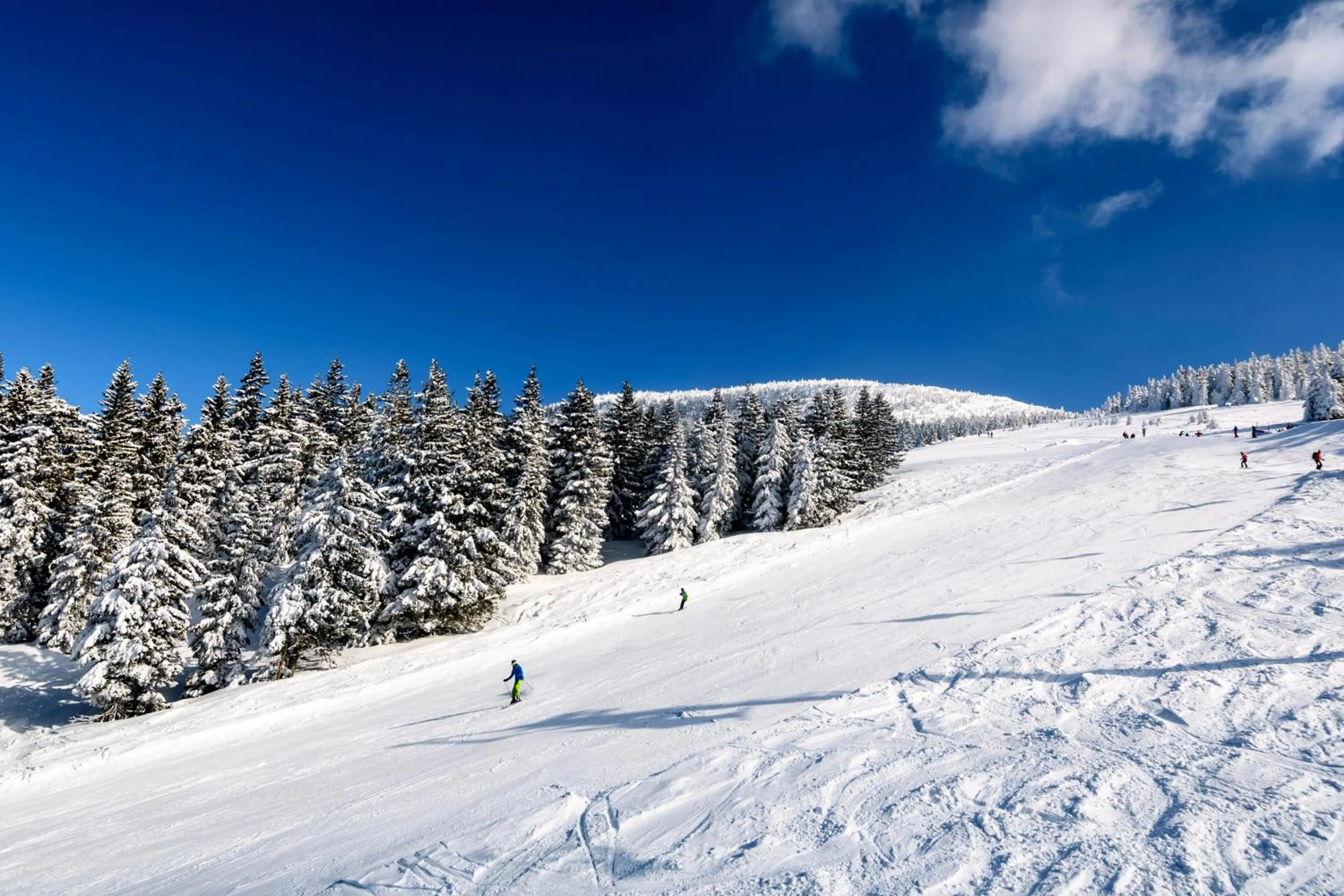 Skiing in BS-Ötscher Hotel