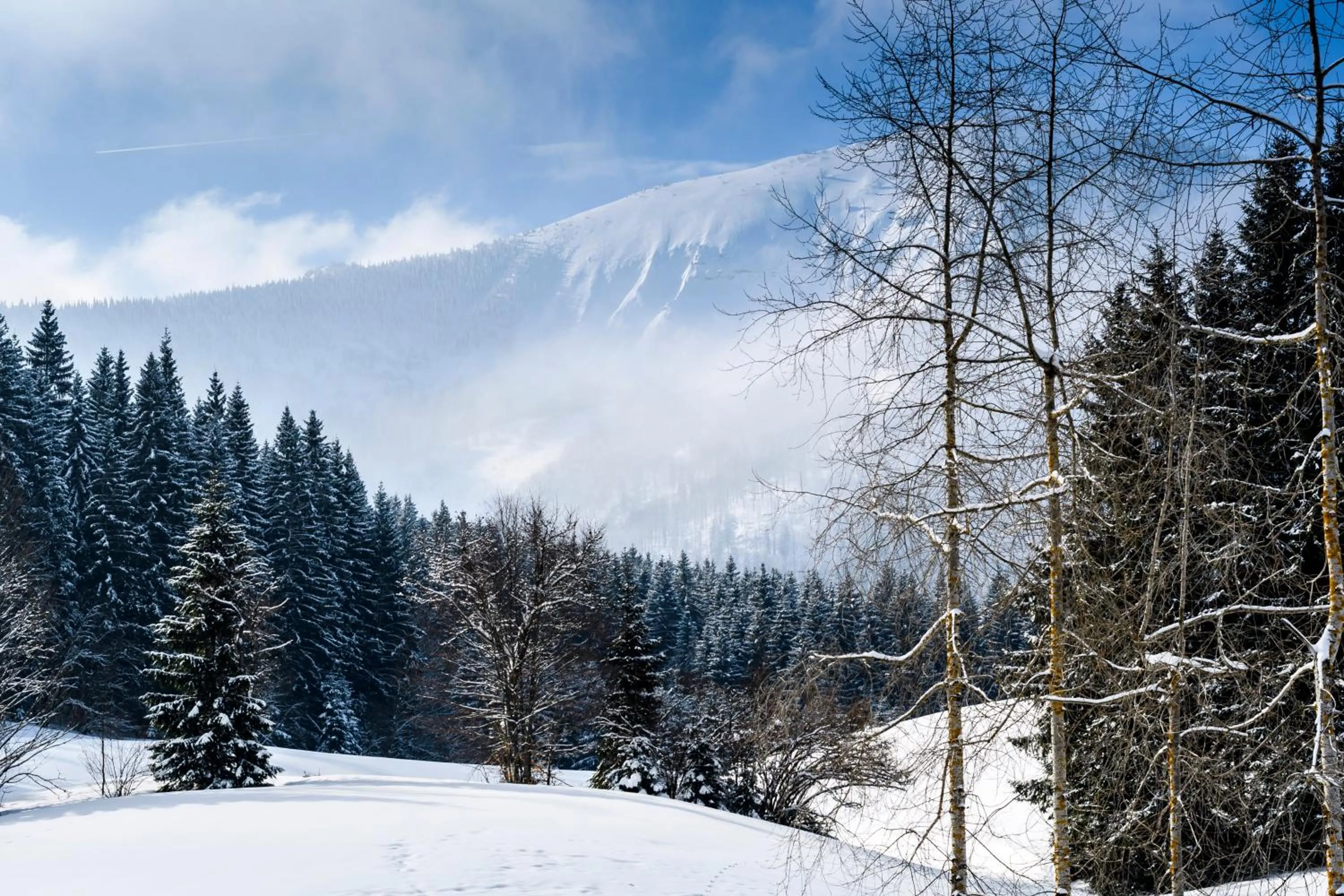Mountain view in BS-Ötscher Hotel