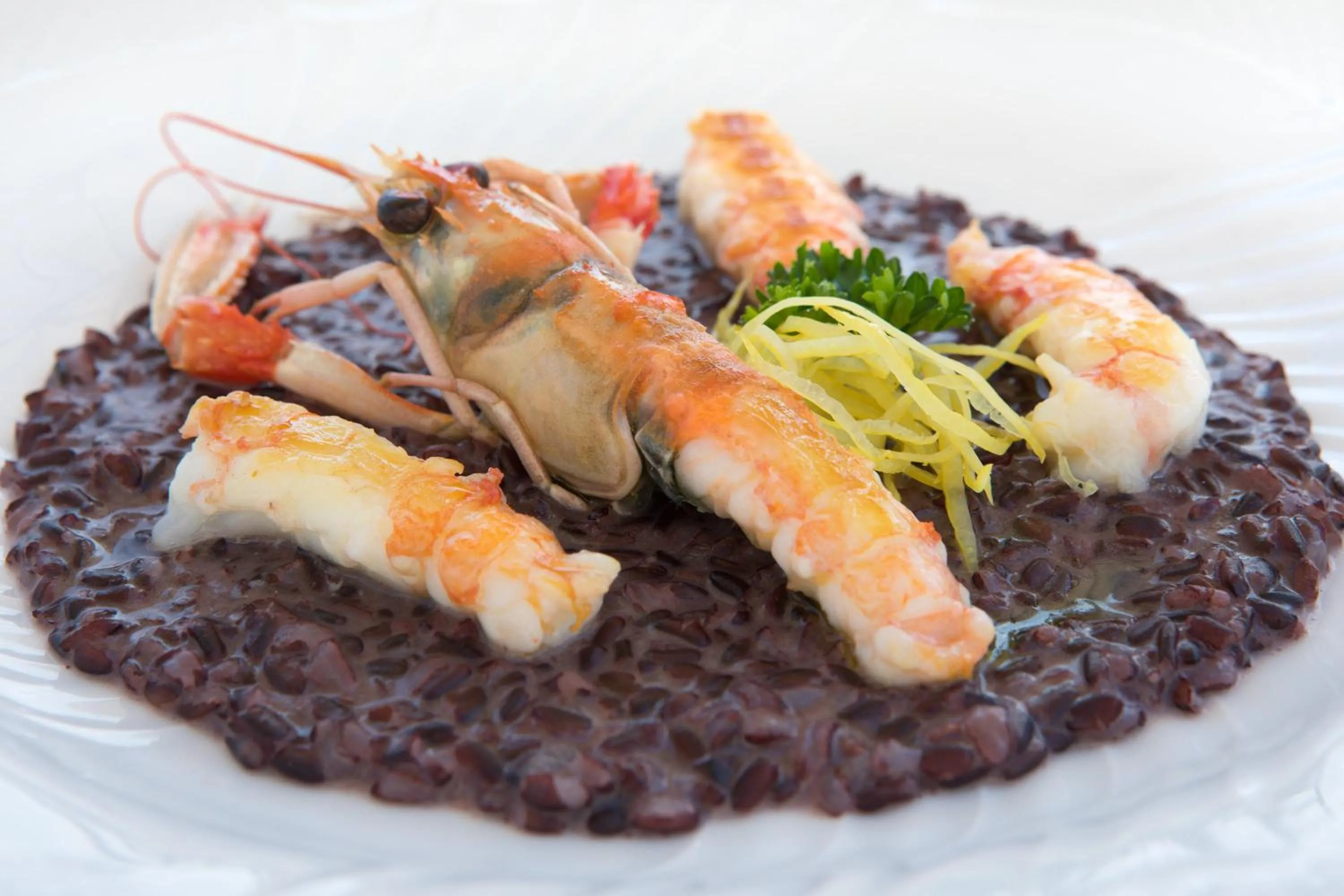 Food close-up in Colonìa Resort