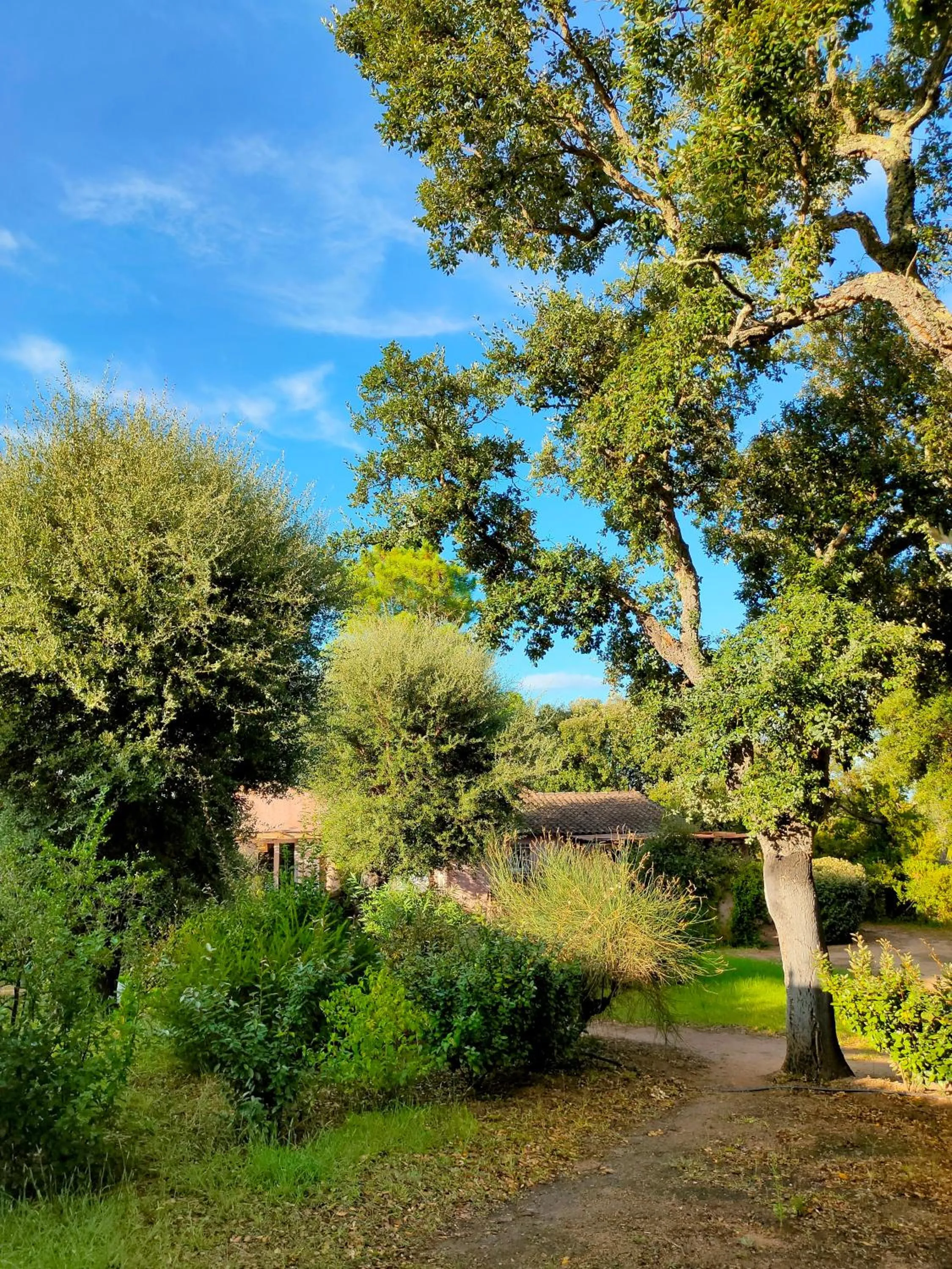 View (from property/room) in Résidence Les Cigales