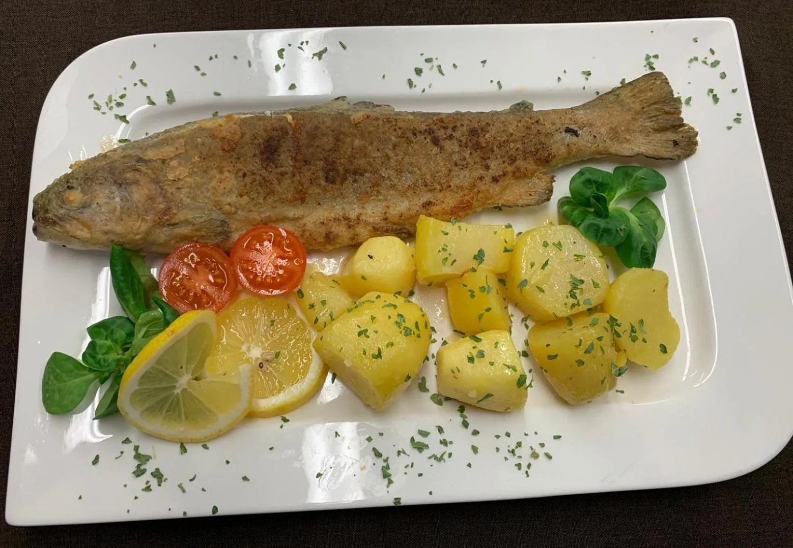 Meals in Ködnitzhof