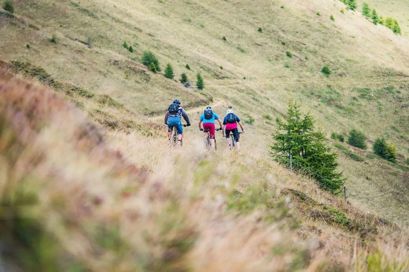 Cycling in Ködnitzhof