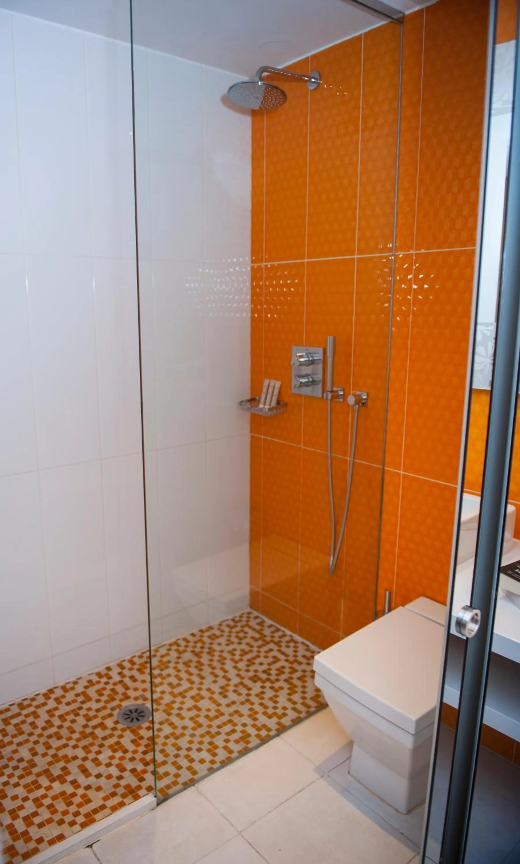 Shower in Posada del León de Oro Boutique Hotel