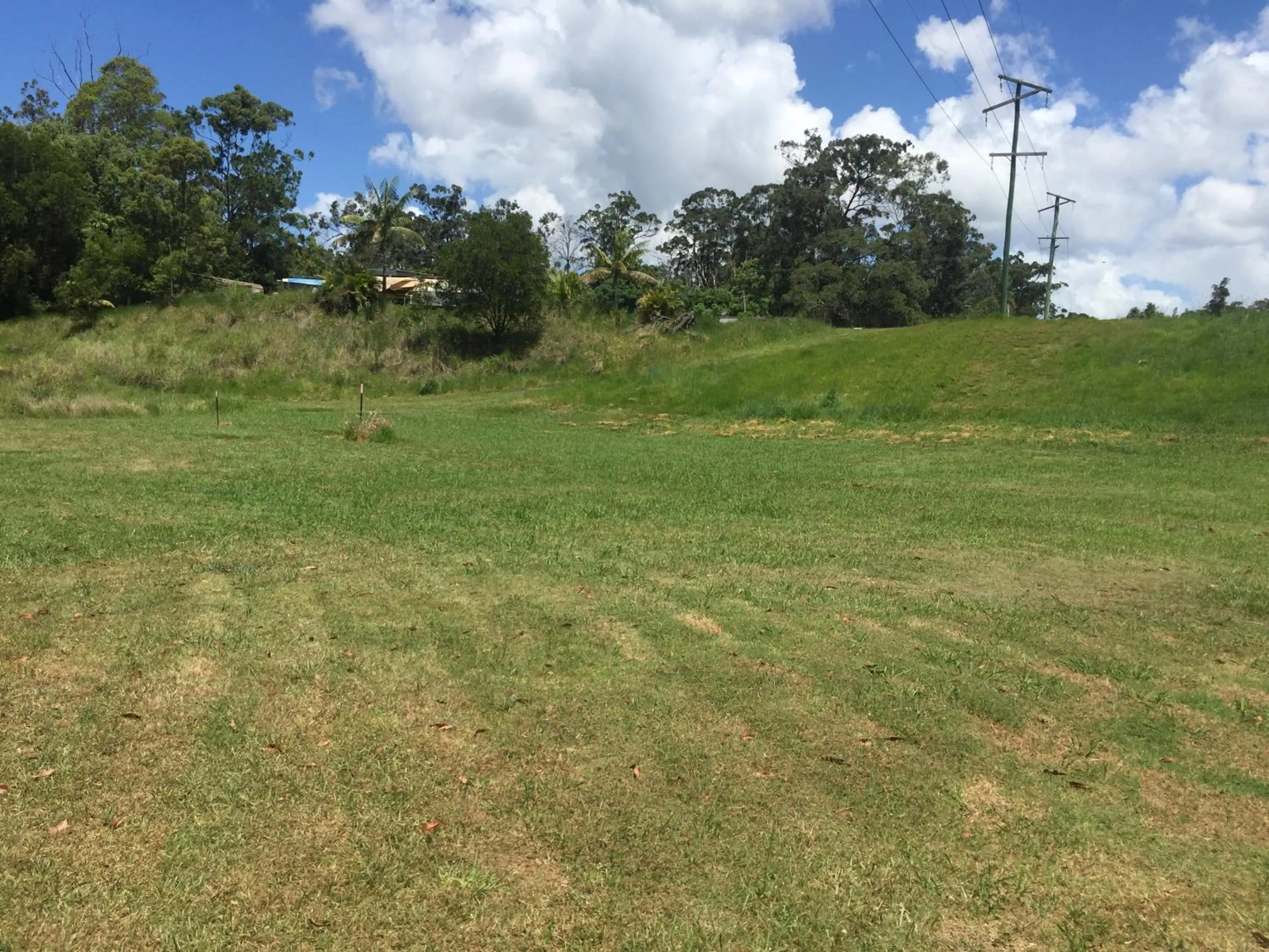 Natural landscape in Yandina Caravan Park