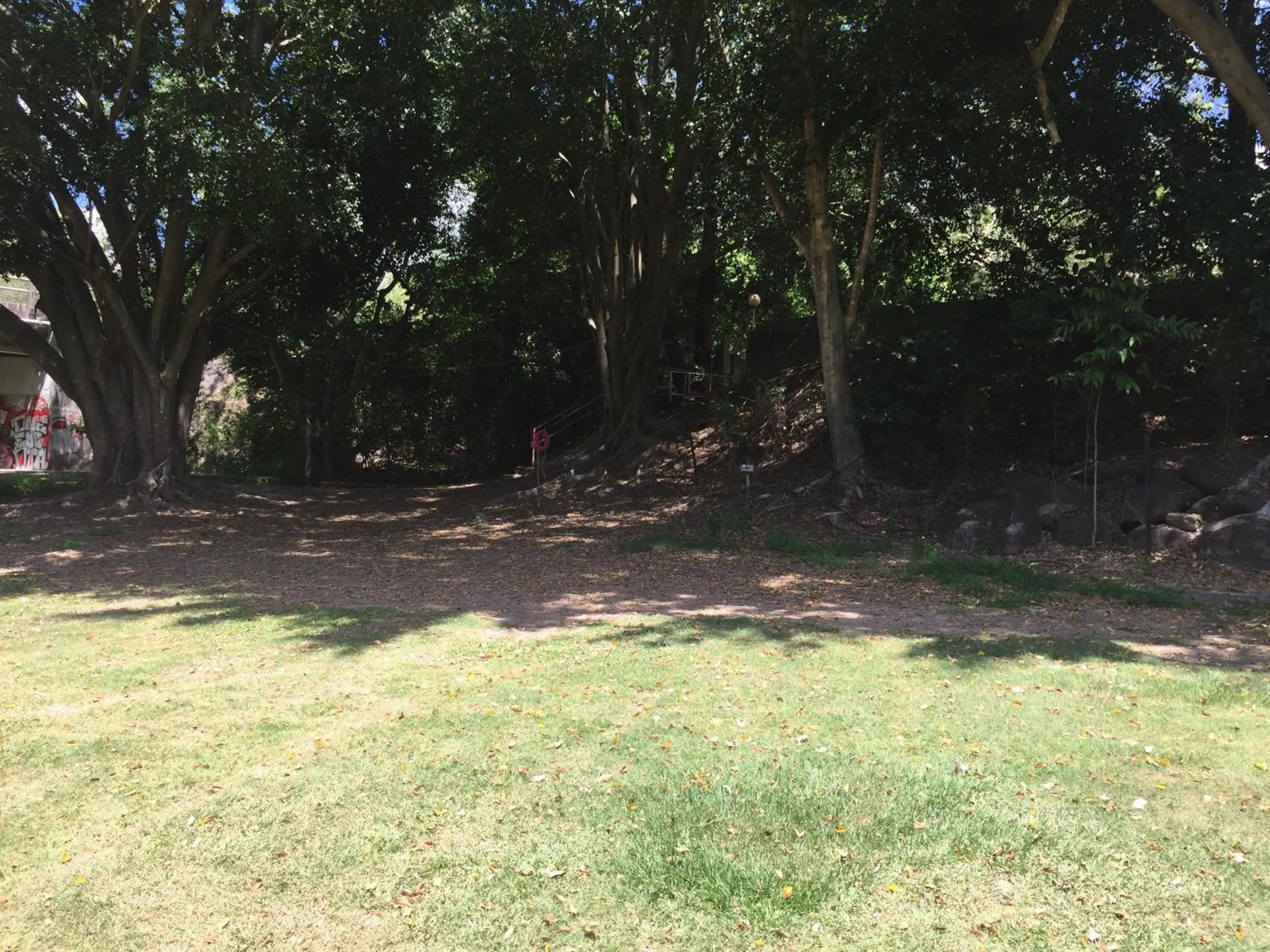 Natural landscape in Yandina Caravan Park