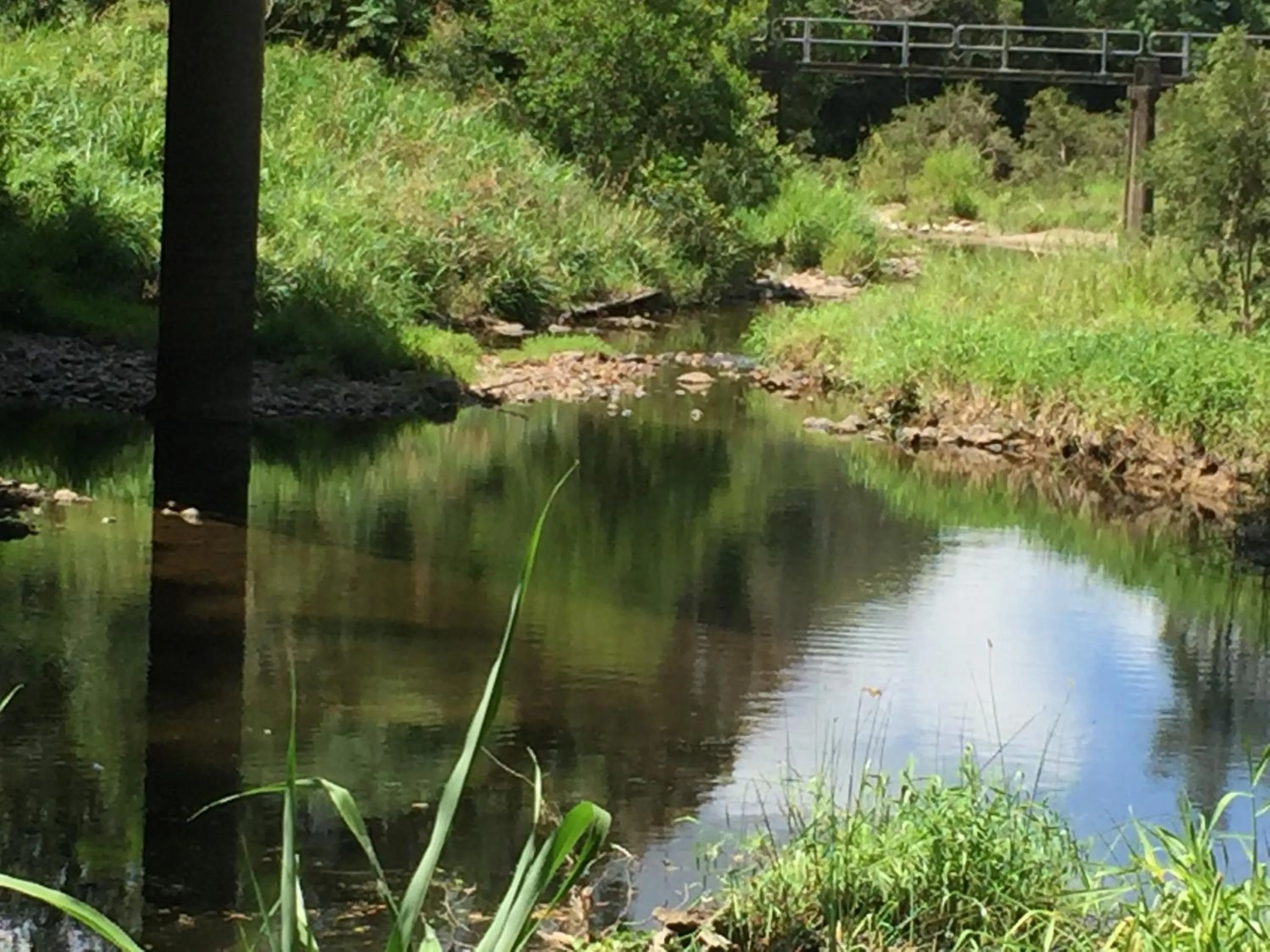 River view in Yandina Caravan Park