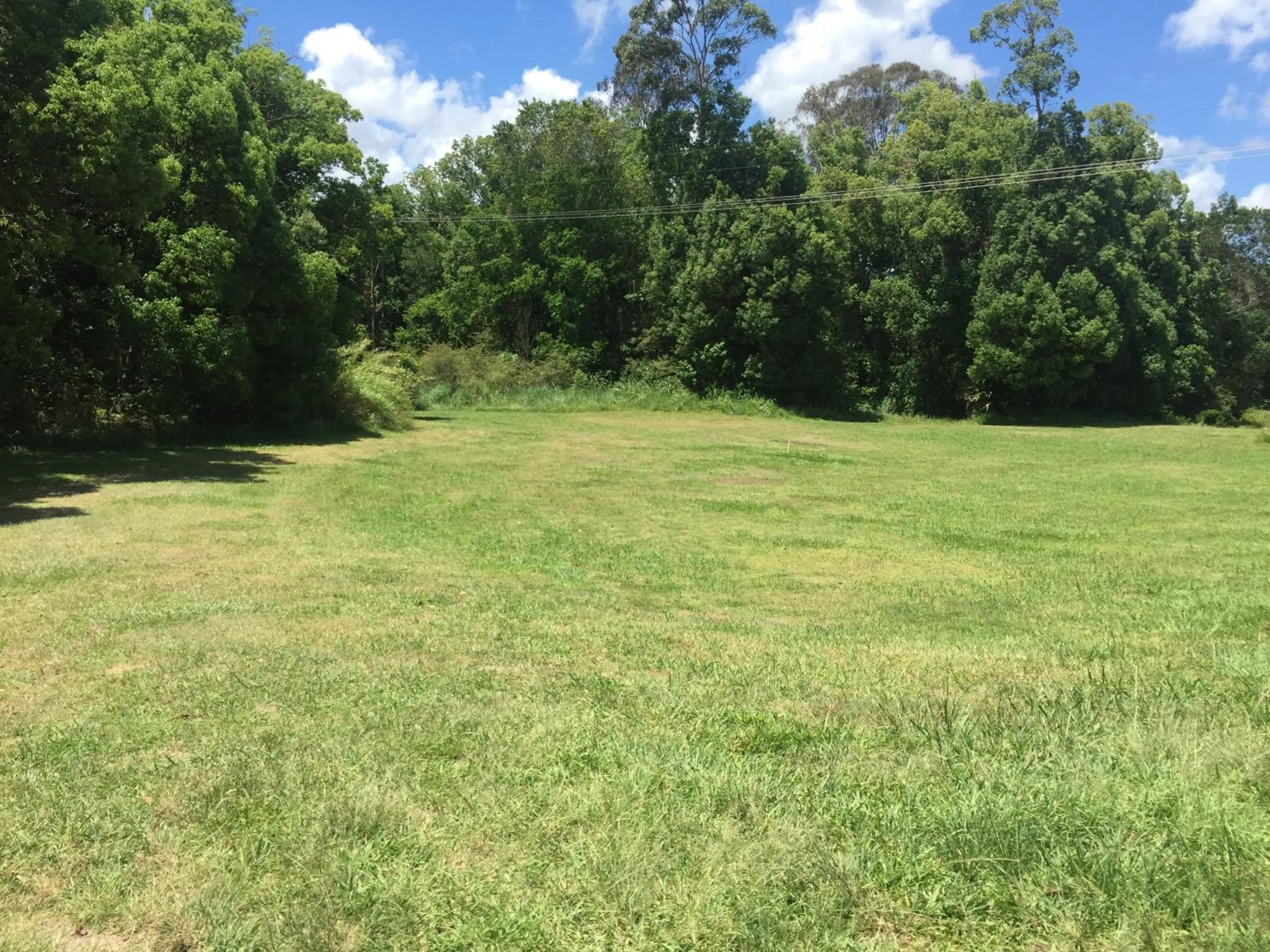 Natural landscape in Yandina Caravan Park
