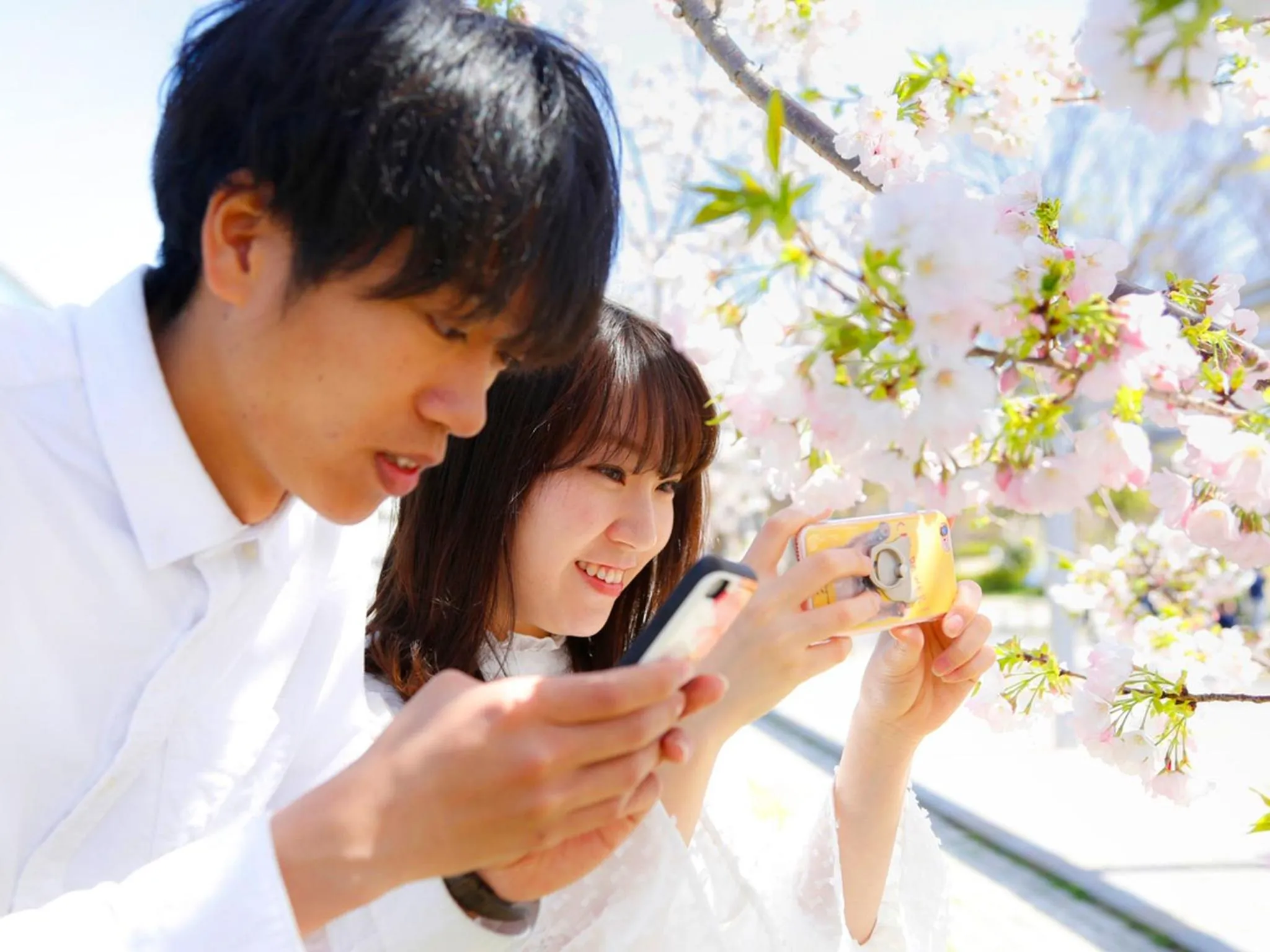 Guests in Kyomai Inn