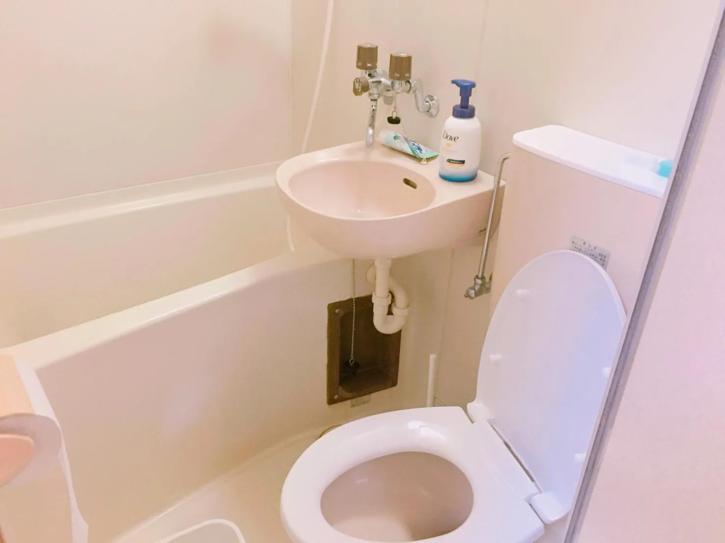 Toilet in Cocone house Ohoripark