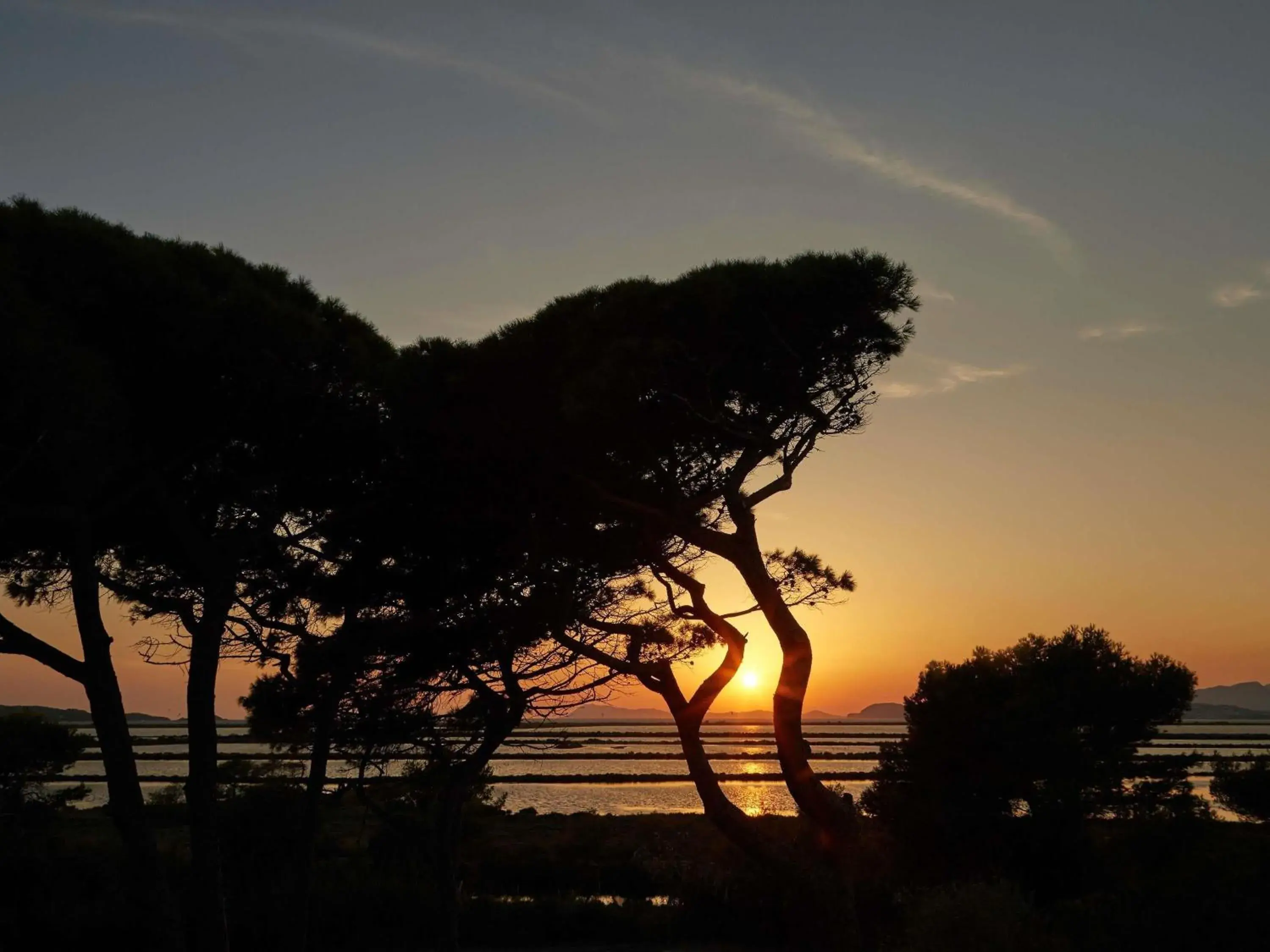 Property building in Ibis Budget Hyères Property building in Ibis Budget Hyères