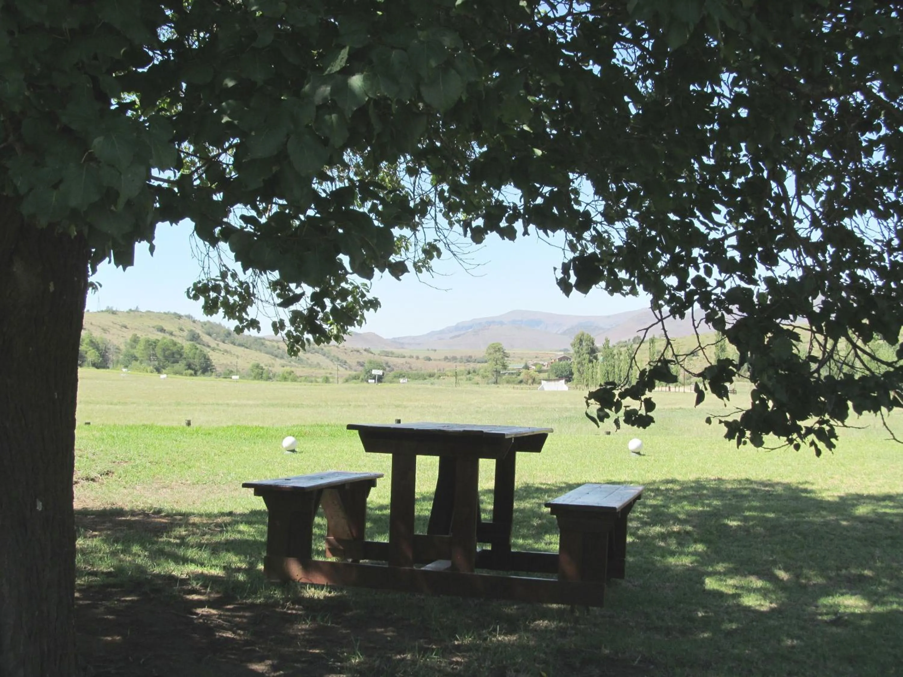 Garden in The Old Orchard Guest House