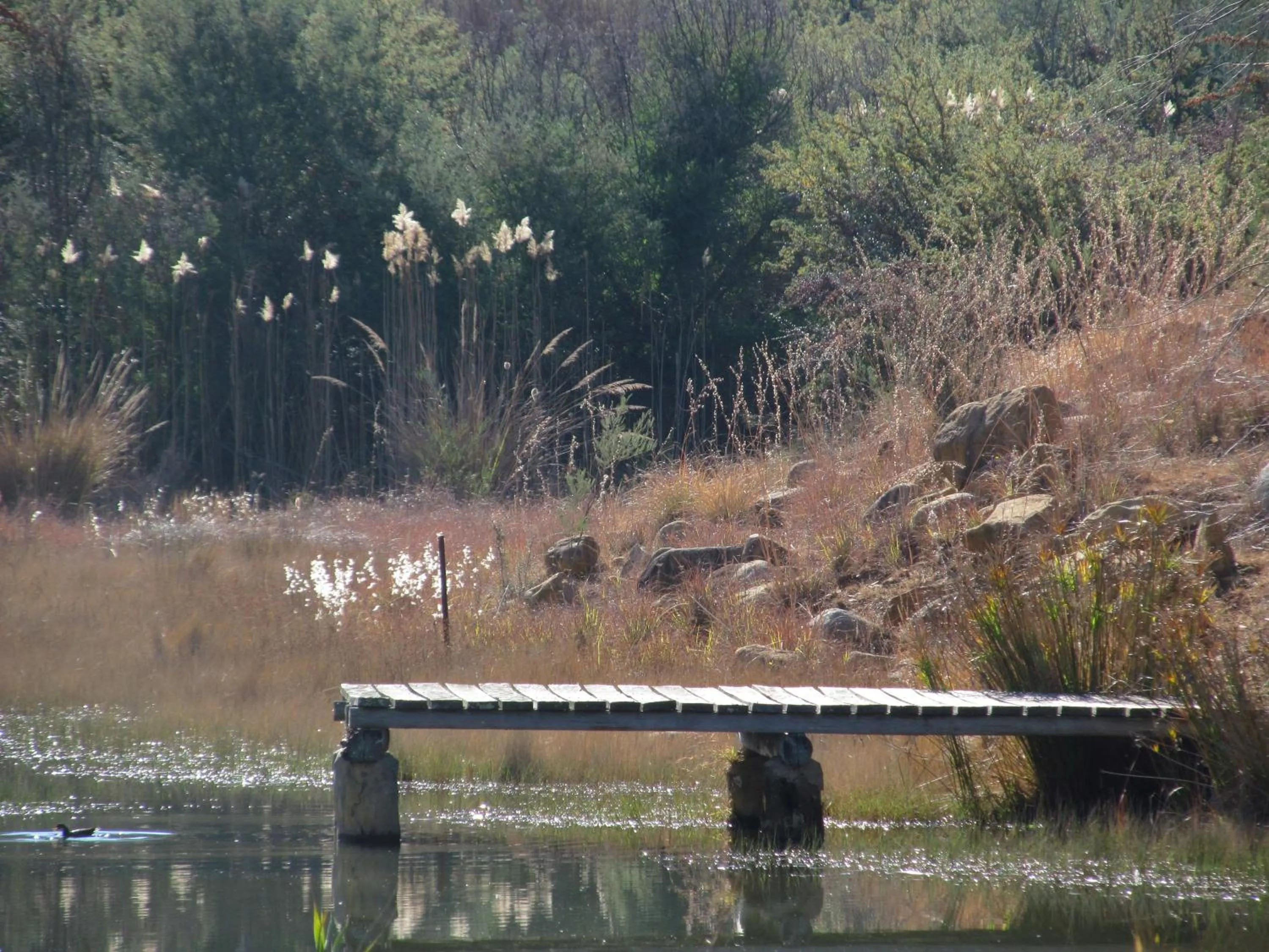 Lake view in The Old Orchard Guest House